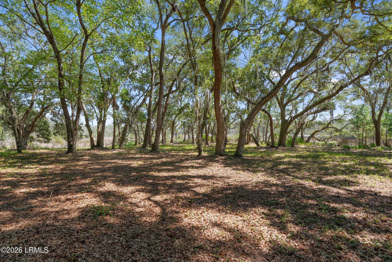 26 Vista Boulevard E, St. Helena Island, SC 29920 — photo 17 of 26