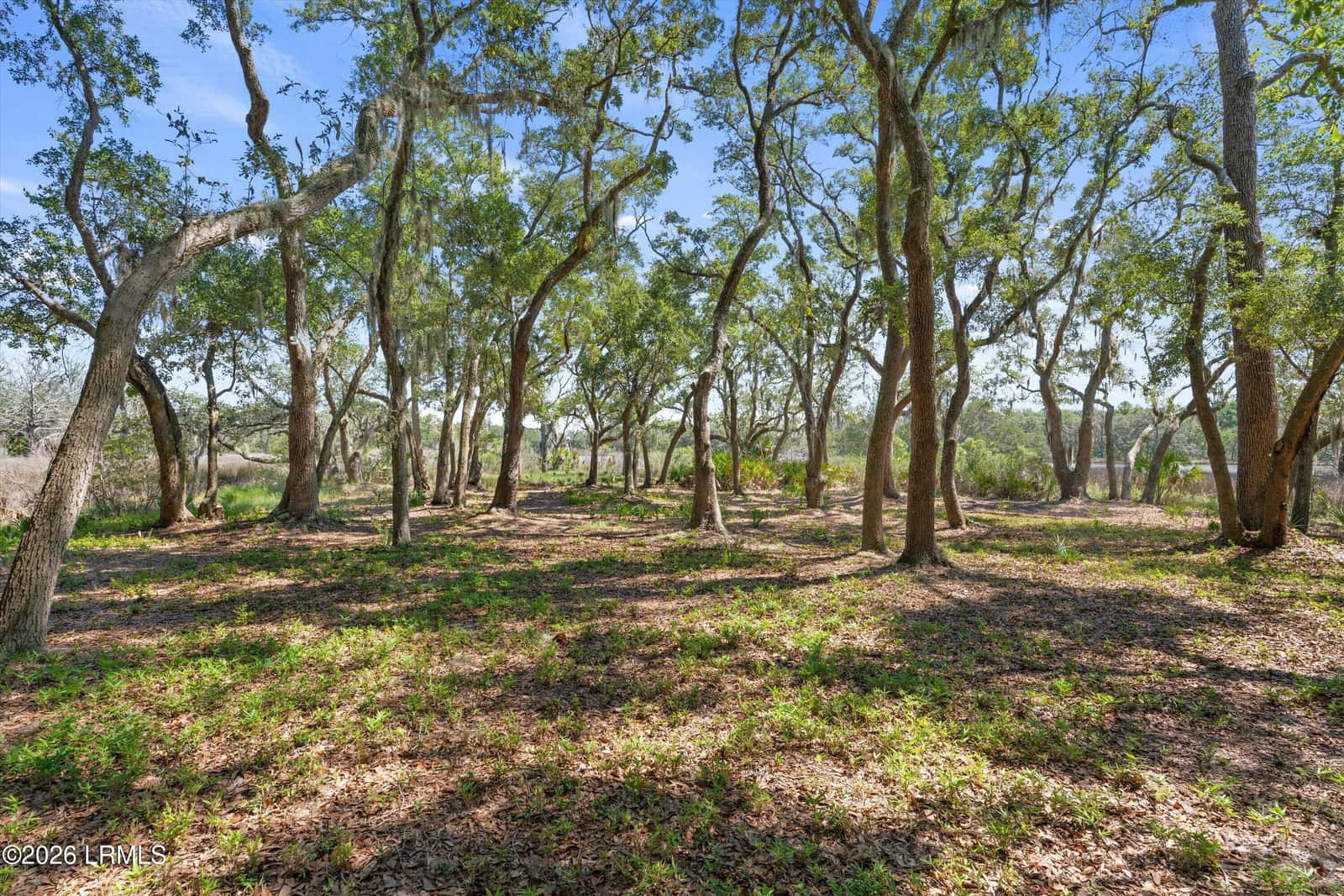 26 Vista Boulevard E, St. Helena Island, SC 29920 — photo 18 of 26