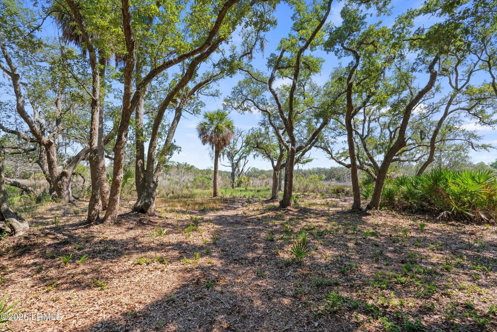 26 Vista Boulevard E, St. Helena Island, SC 29920 — photo 19 of 26