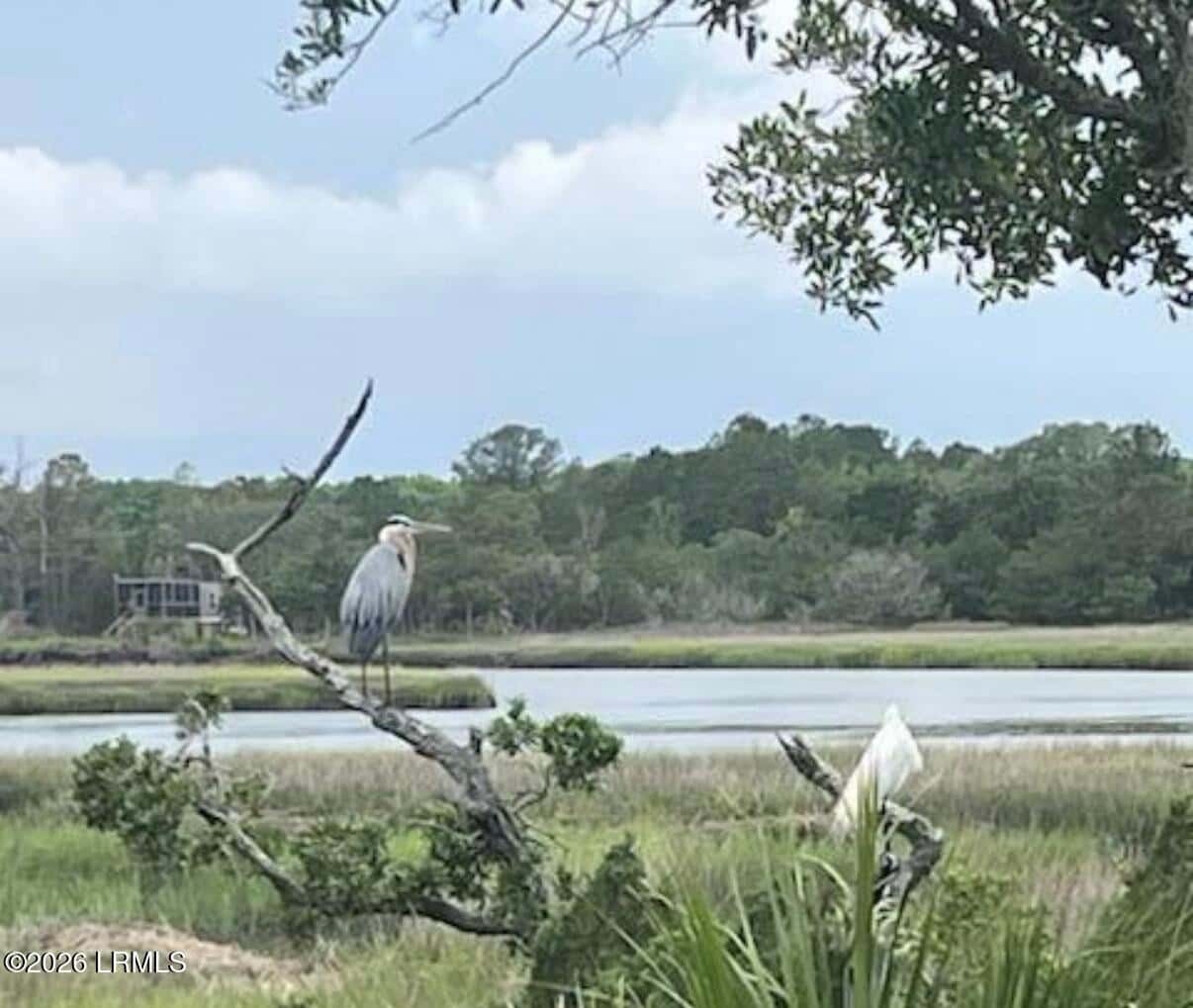 1418 Gleasons Landing Drive, St. Helena Island, SC 29920 — photo 51 of 69