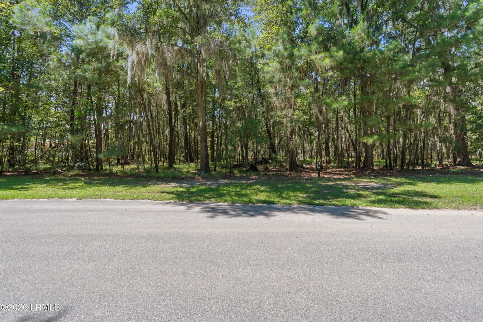 16 Rice Trunk Road, Okatie, SC 29909 — photo 3 of 14