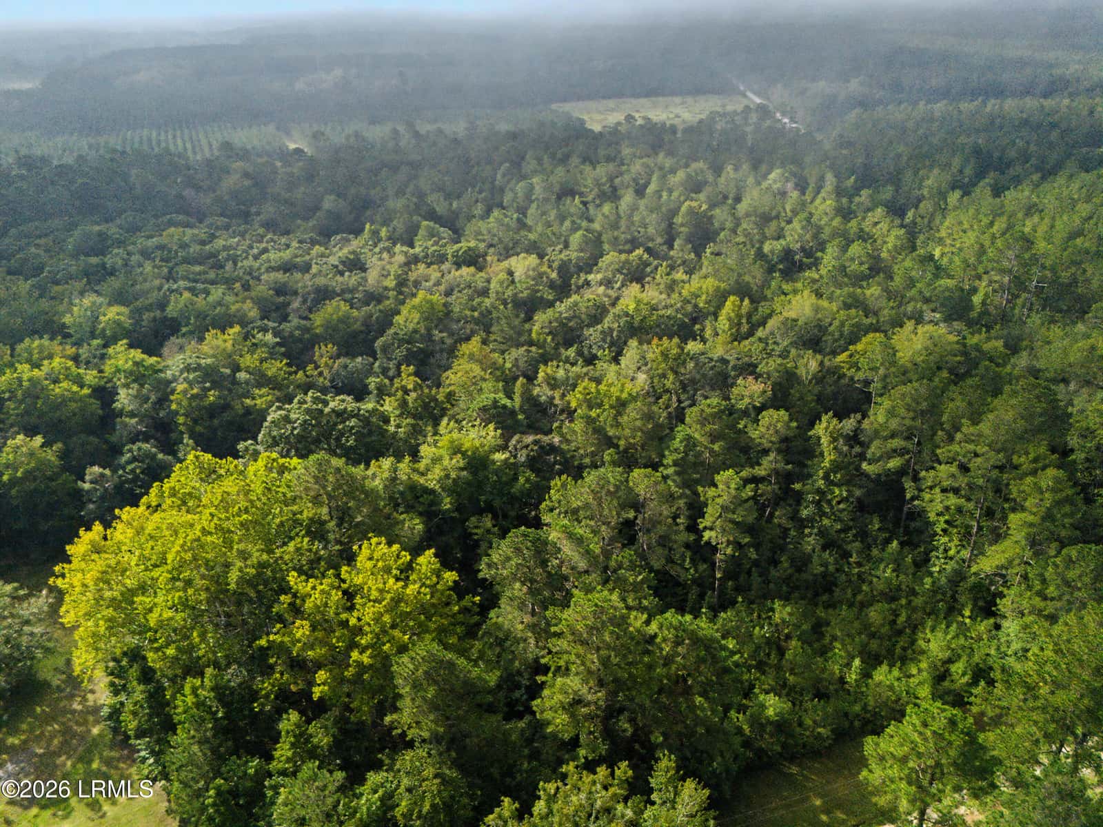 0 Tree Farm Road, Walterboro, SC 29488 — photo 4 of 30