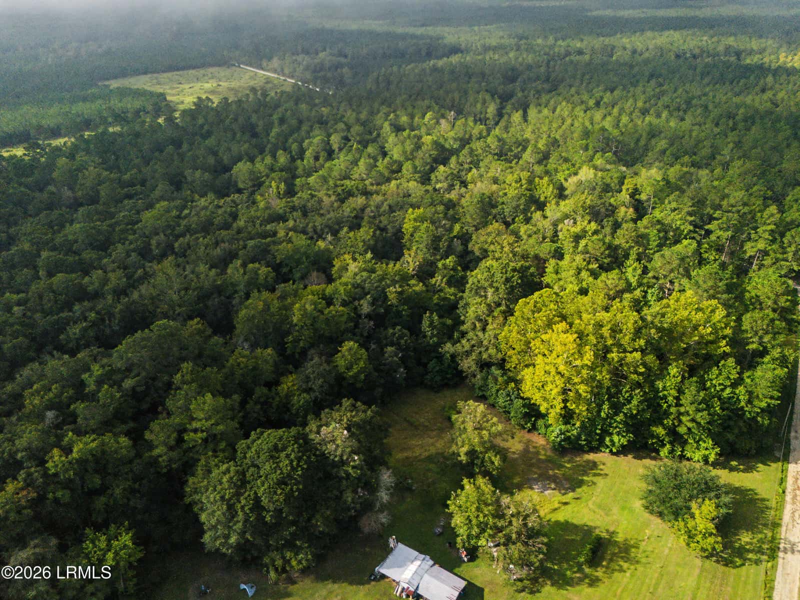 0 Tree Farm Road, Walterboro, SC 29488 — photo 5 of 30