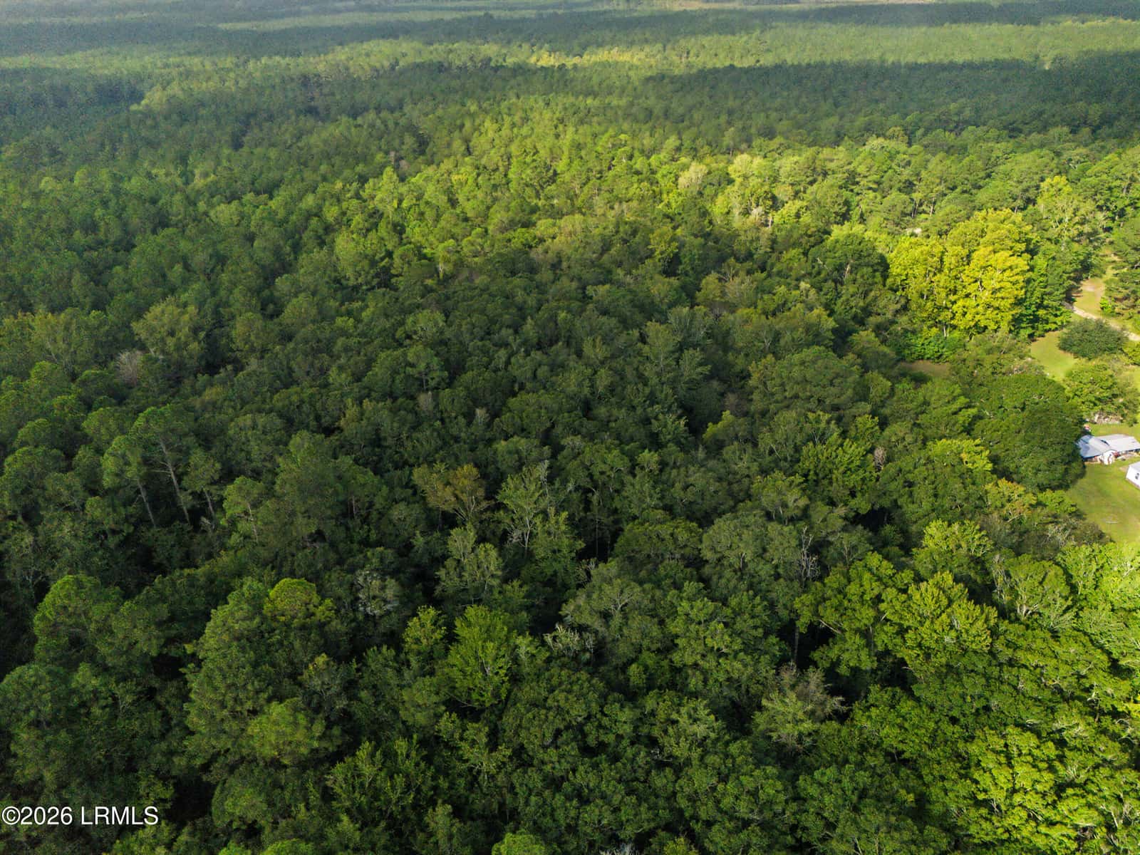 0 Tree Farm Road, Walterboro, SC 29488 — photo 7 of 30