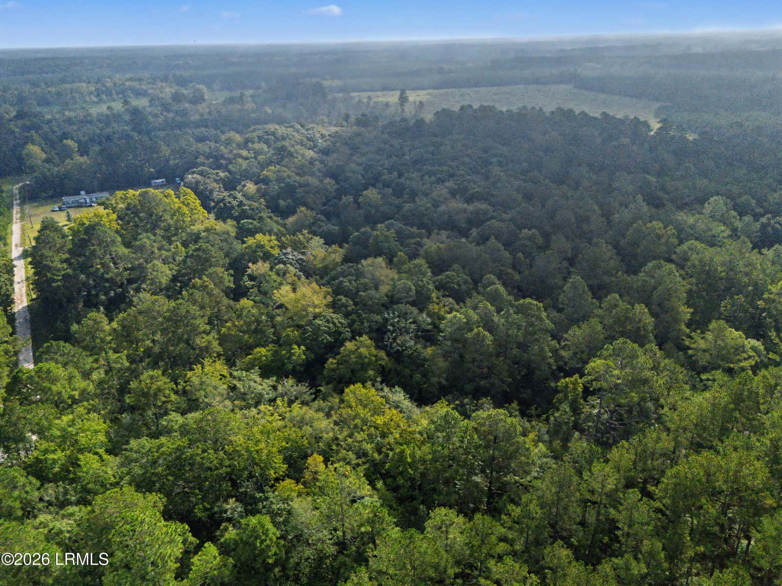 0 Tree Farm Road, Walterboro, SC 29488 — photo 8 of 30