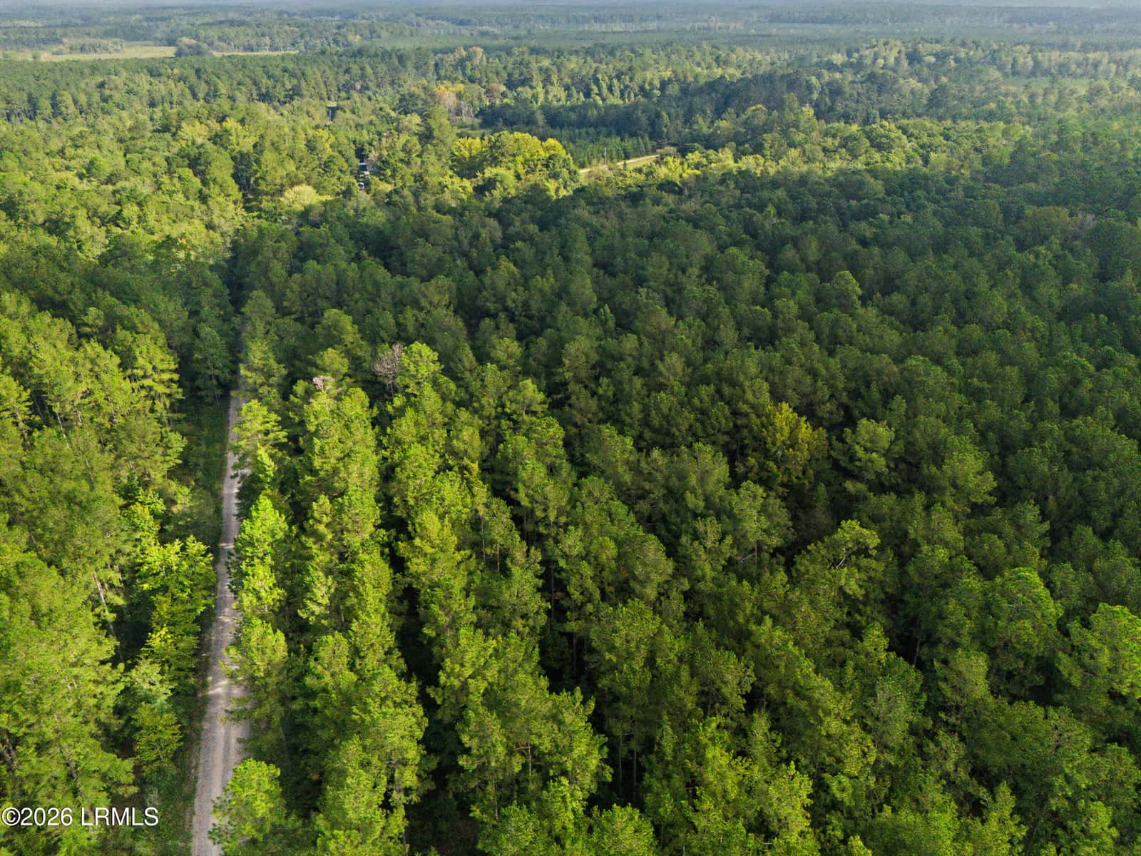 0 Tree Farm Road, Walterboro, SC 29488 — photo 9 of 30
