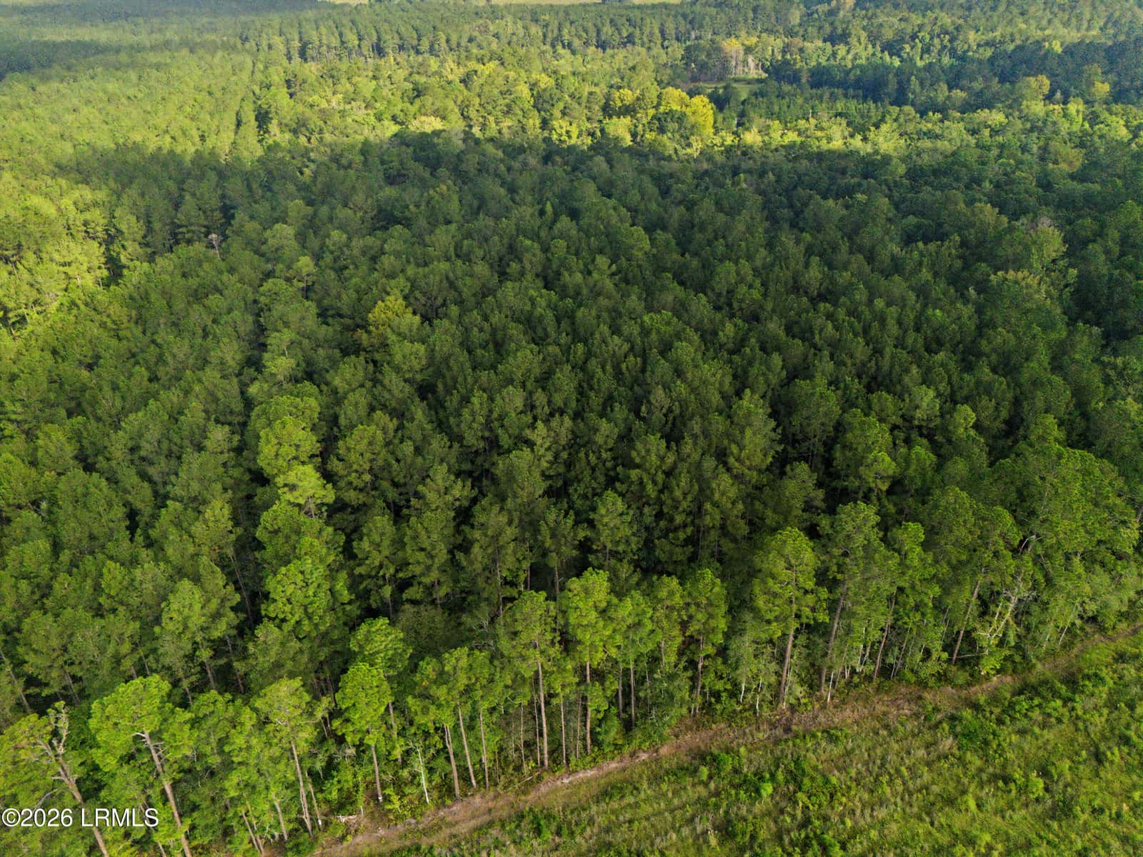 0 Tree Farm Road, Walterboro, SC 29488 — photo 10 of 30