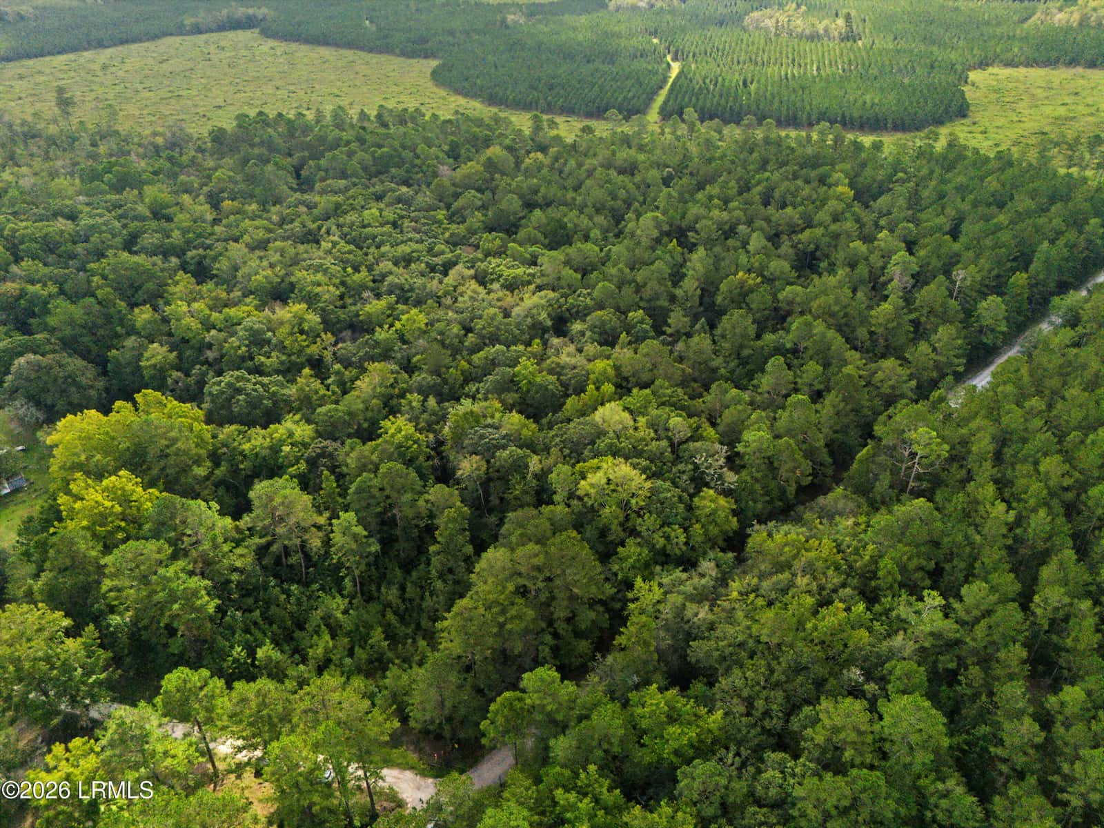 0 Tree Farm Road, Walterboro, SC 29488 — photo 12 of 30