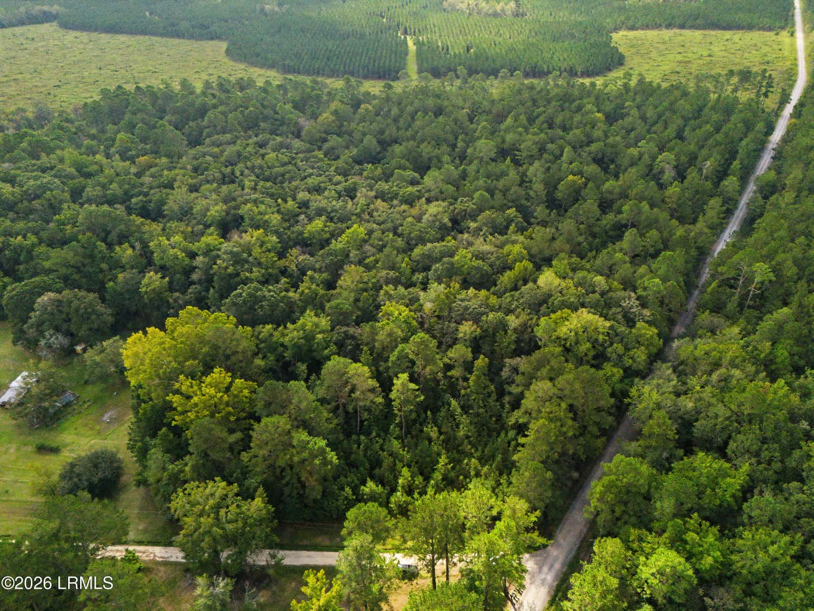 0 Tree Farm Road, Walterboro, SC 29488 — photo 13 of 30