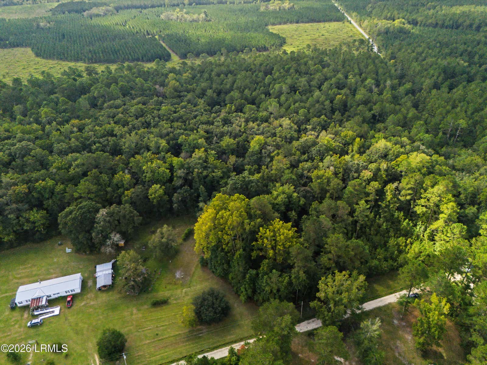 0 Tree Farm Road, Walterboro, SC 29488 — photo 14 of 30