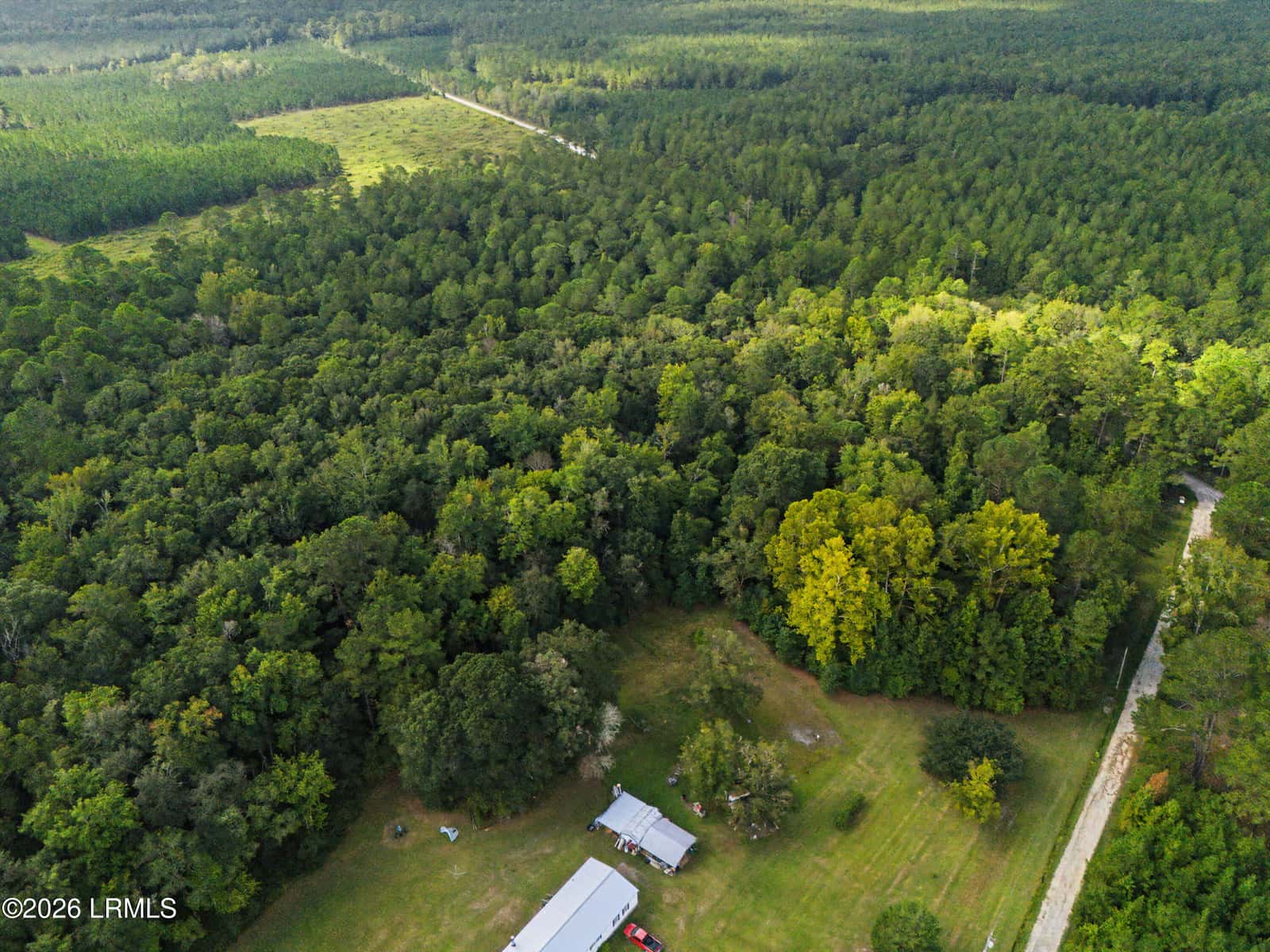 0 Tree Farm Road, Walterboro, SC 29488 — photo 15 of 30