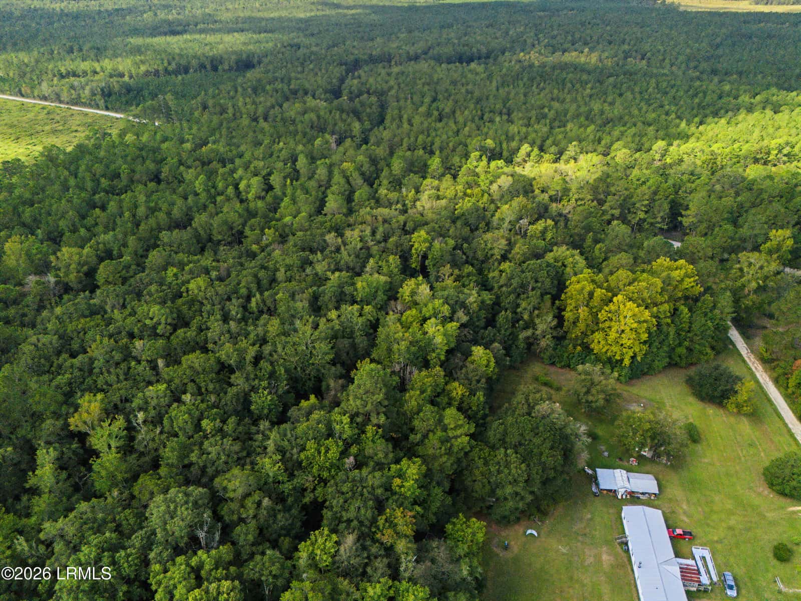 0 Tree Farm Road, Walterboro, SC 29488 — photo 16 of 30
