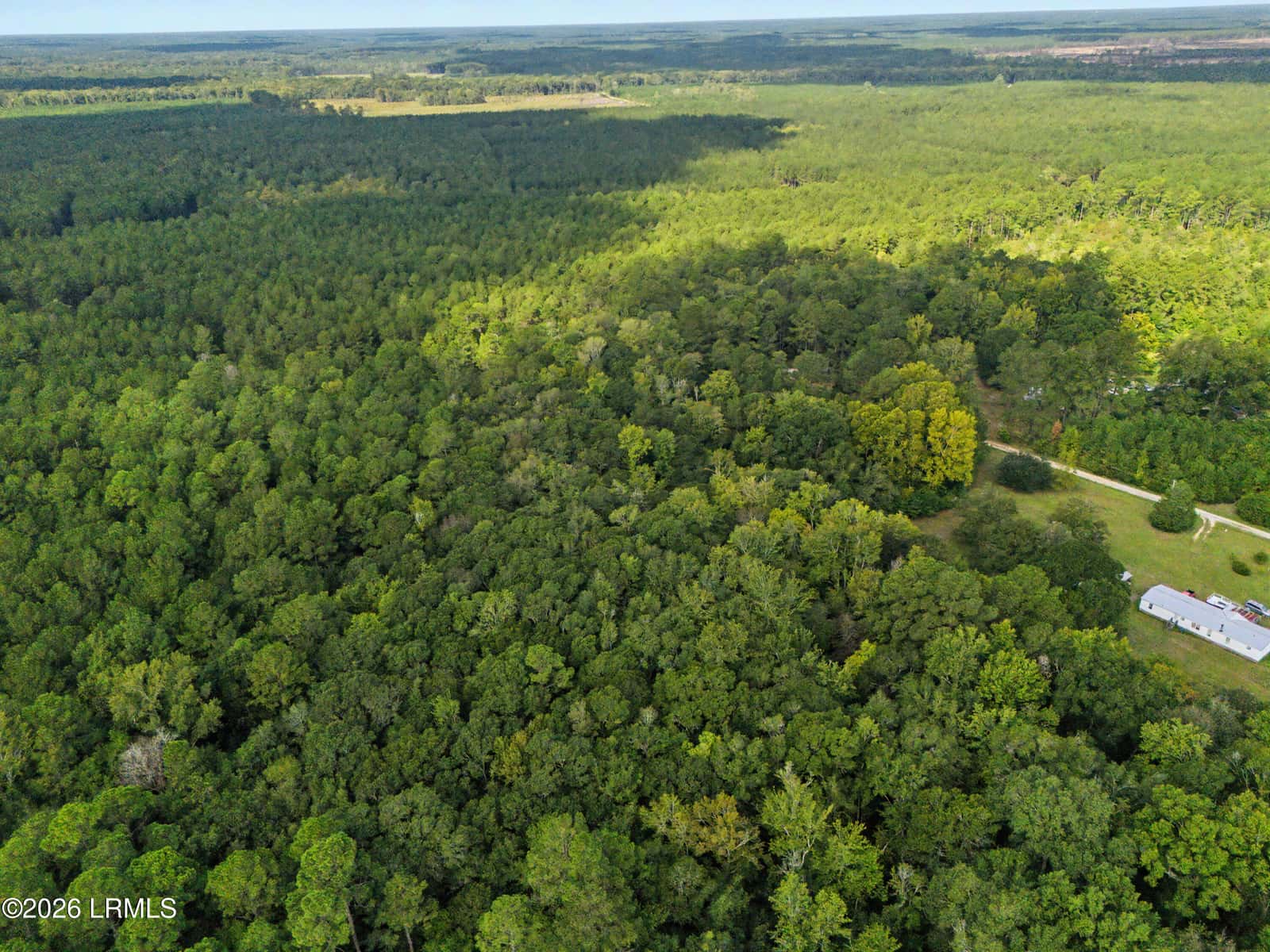 0 Tree Farm Road, Walterboro, SC 29488 — photo 17 of 30