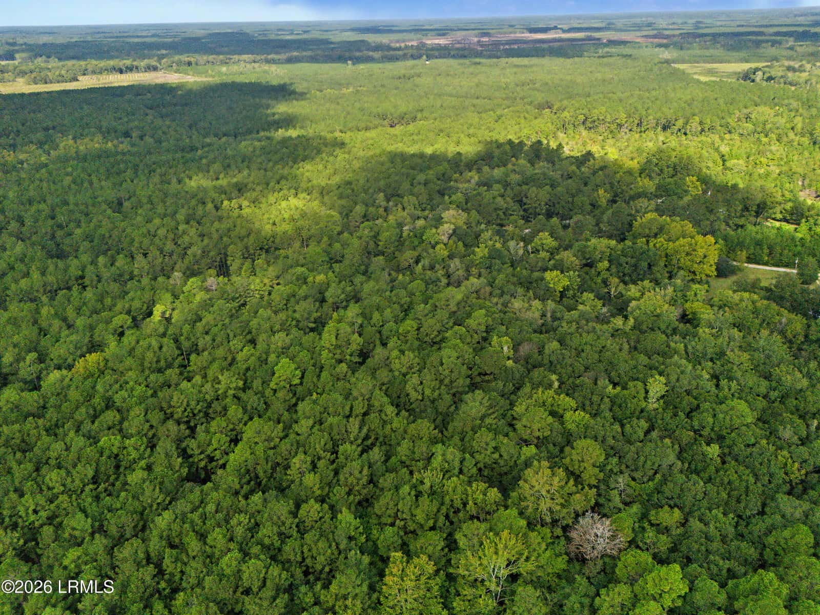 0 Tree Farm Road, Walterboro, SC 29488 — photo 18 of 30