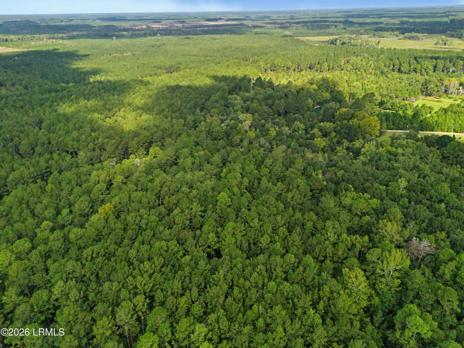 0 Tree Farm Road, Walterboro, SC 29488 — photo 19 of 30