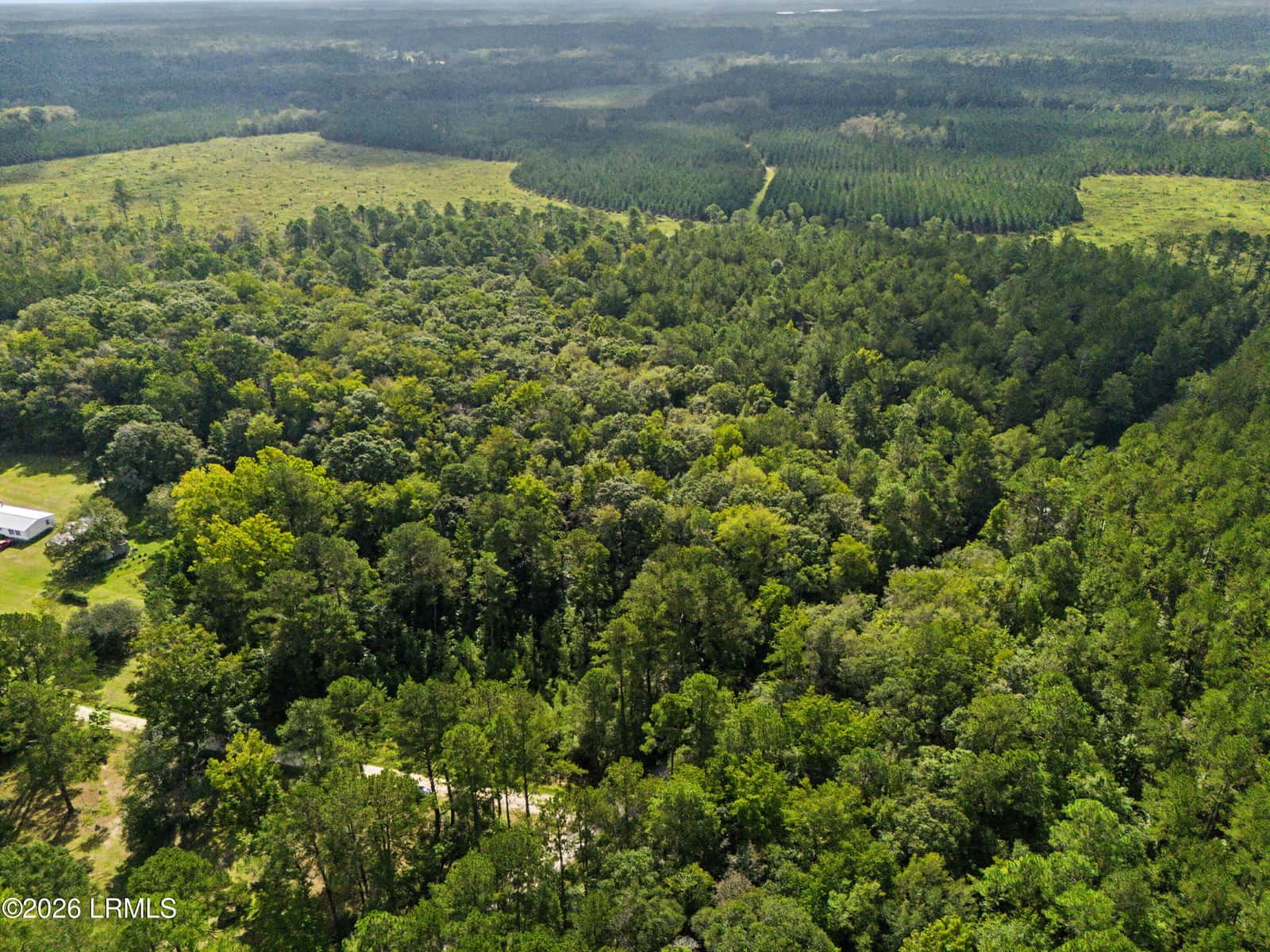 0 Tree Farm Road, Walterboro, SC 29488 — photo 24 of 30