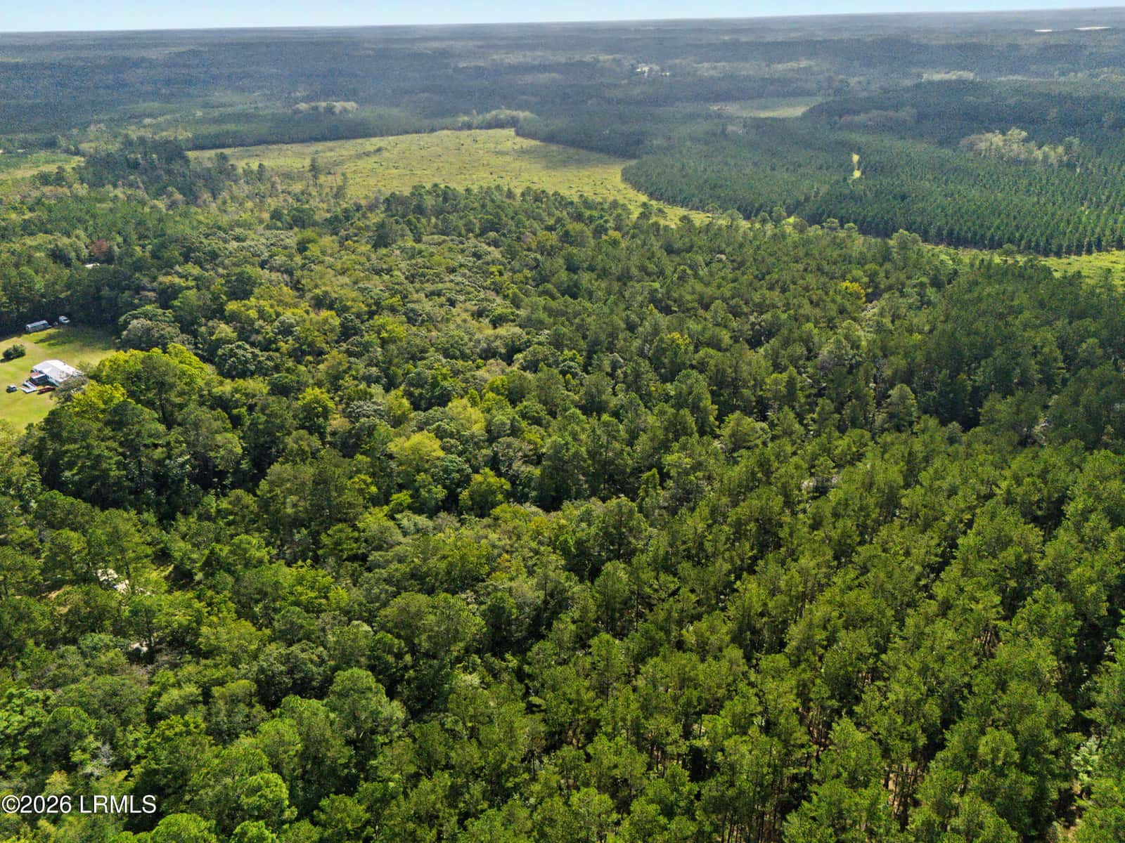 0 Tree Farm Road, Walterboro, SC 29488 — photo 25 of 30