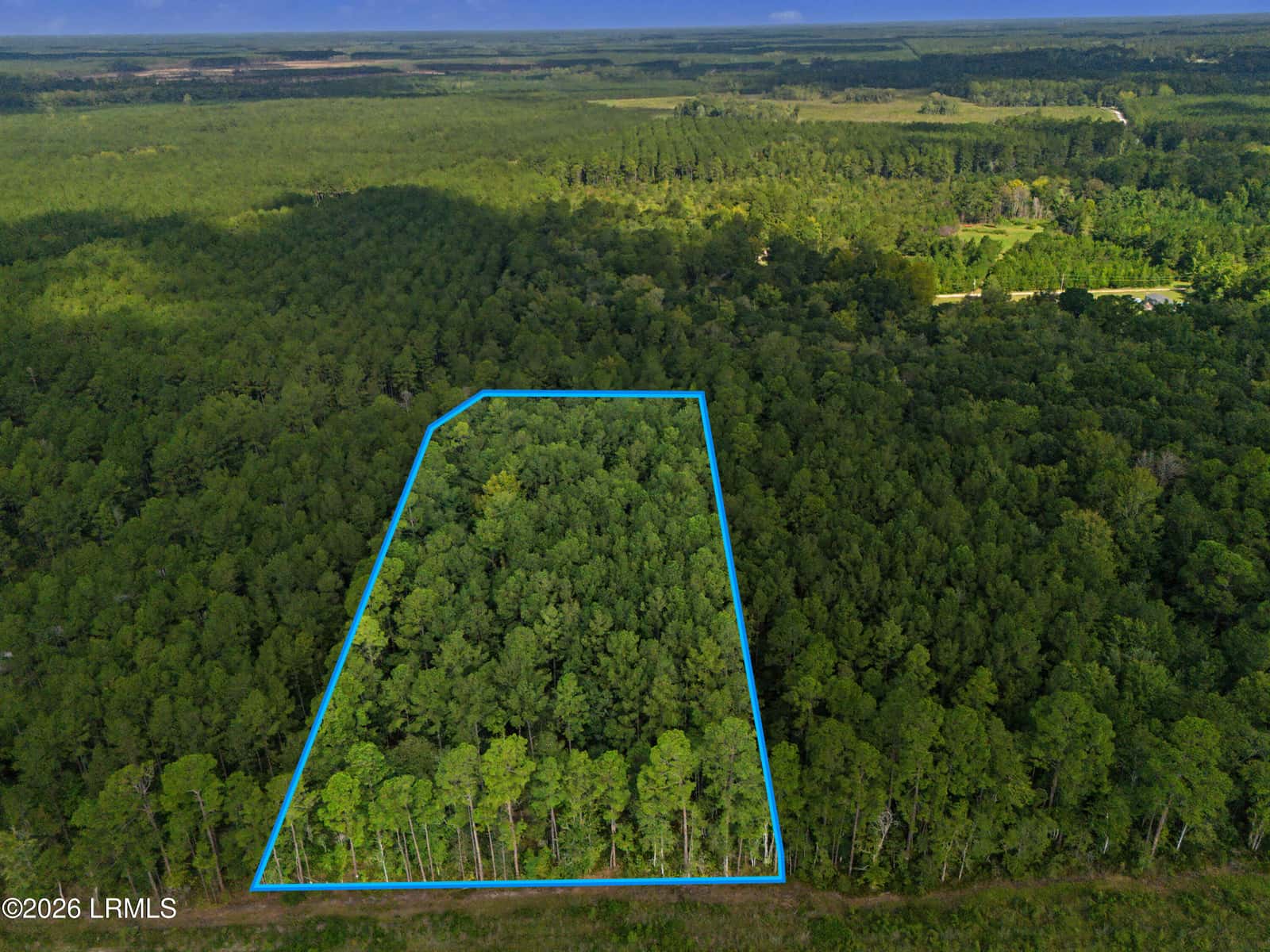 0 Tree Farm Road, Walterboro, SC 29488 — photo 2 of 30