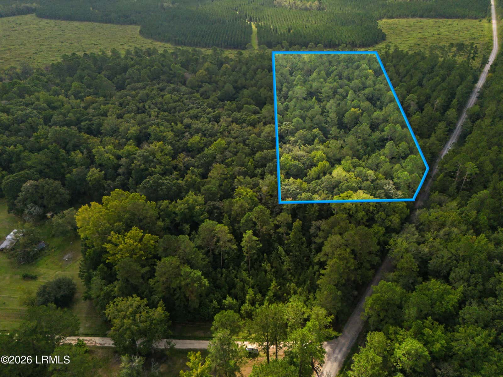 0 Tree Farm Road, Walterboro, SC 29488 — photo 28 of 30