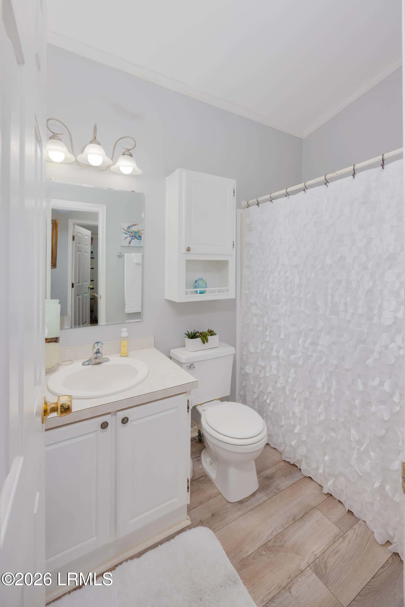 3 Shelterwood Lane, Bluffton, SC 29910 — photo 13 of 20