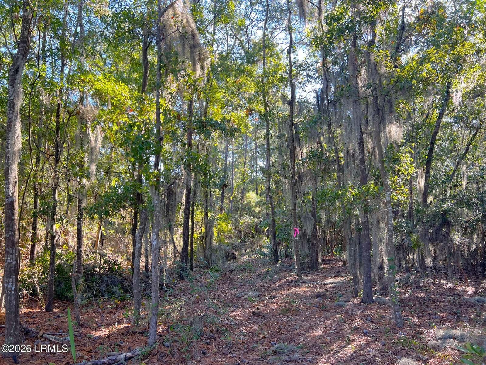 67 Cusabo Road, St. Helena Island, SC 29920 — photo 20 of 32