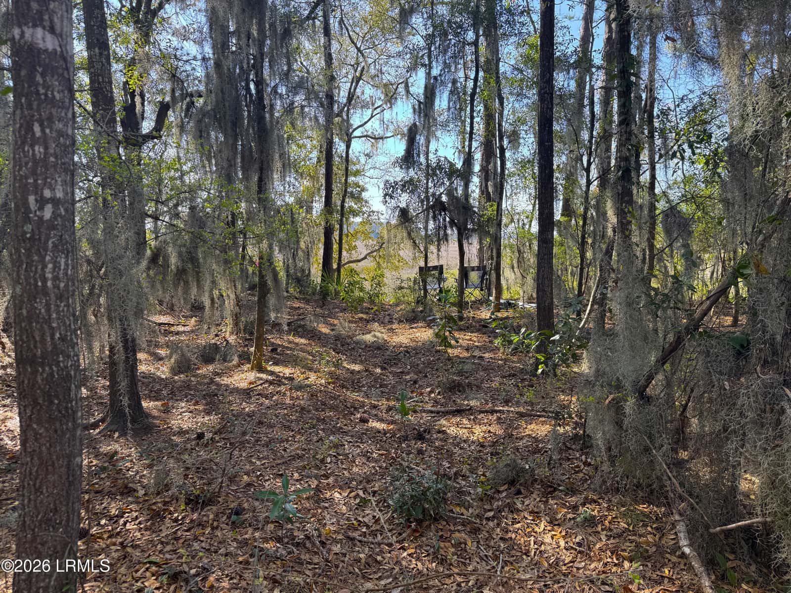 67 Cusabo Road, St. Helena Island, SC 29920 — photo 15 of 32