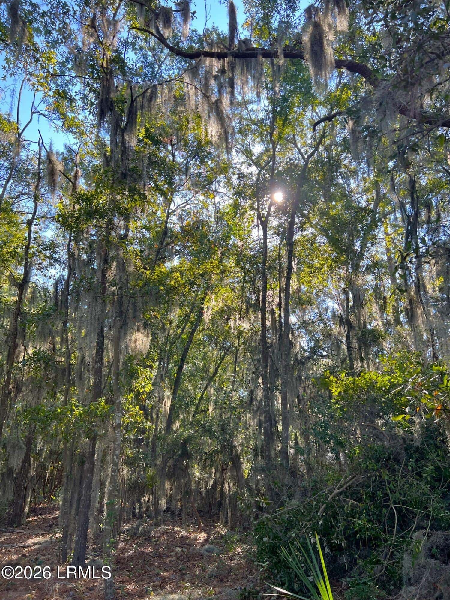 67 Cusabo Road, St. Helena Island, SC 29920 — photo 11 of 32
