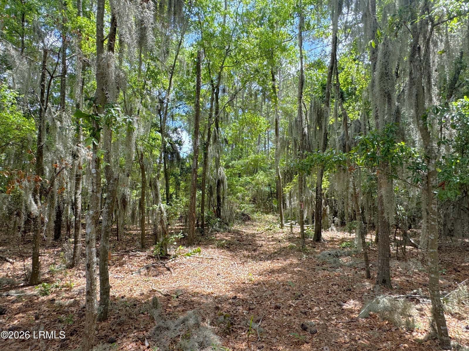 67 Cusabo Road, St. Helena Island, SC 29920 — photo 12 of 32