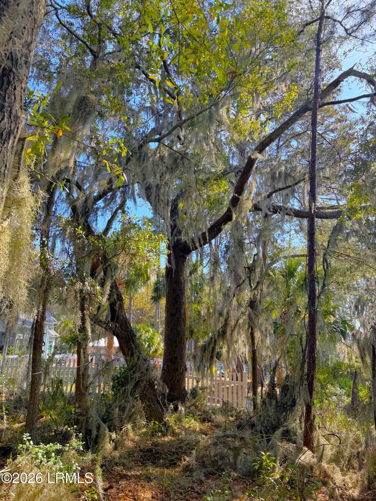 67 Cusabo Road, St. Helena Island, SC 29920 — photo 13 of 32