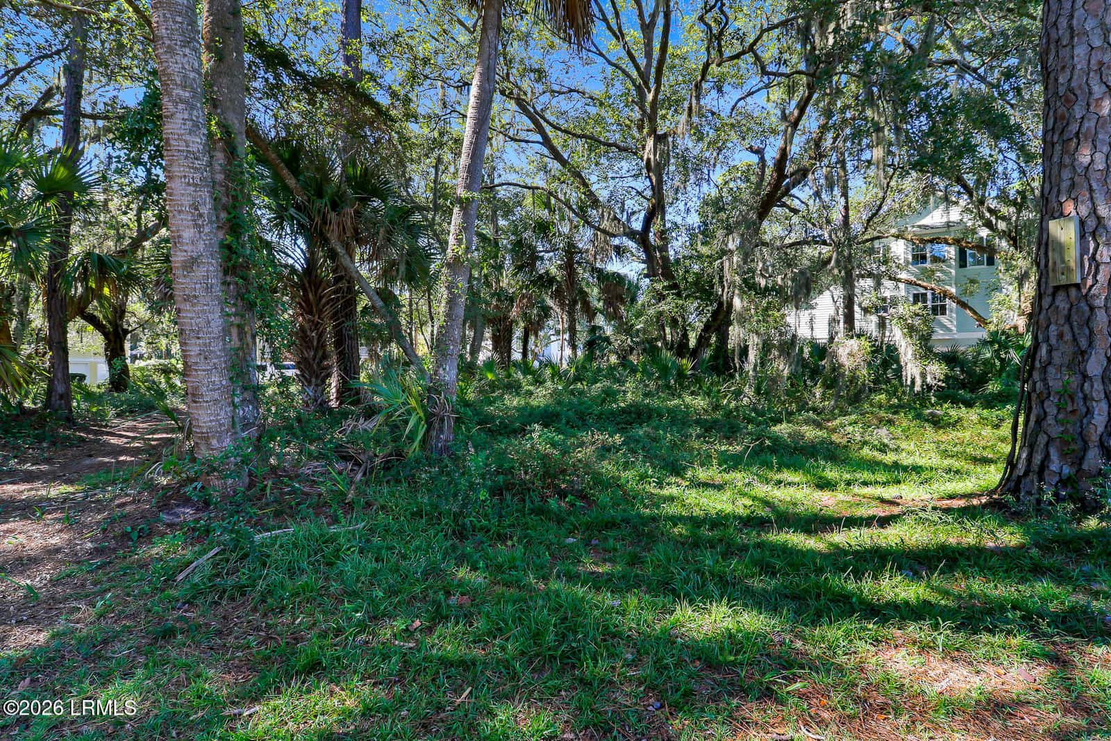 37 Bass Creek Lane, Bluffton, SC 29910 — photo 6 of 36