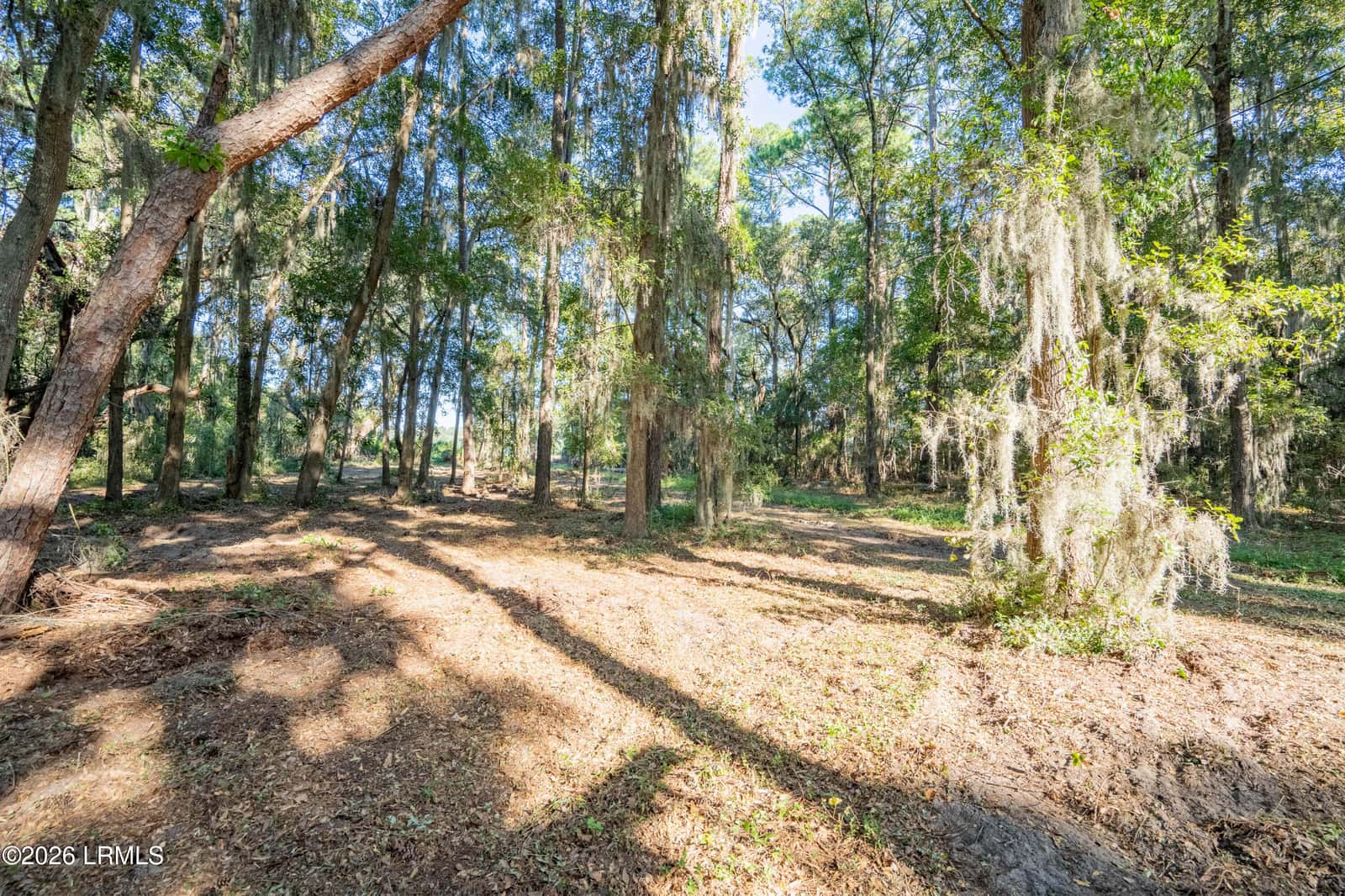 14 Kinte Drive, St. Helena Island, SC 29920 — photo 7 of 18