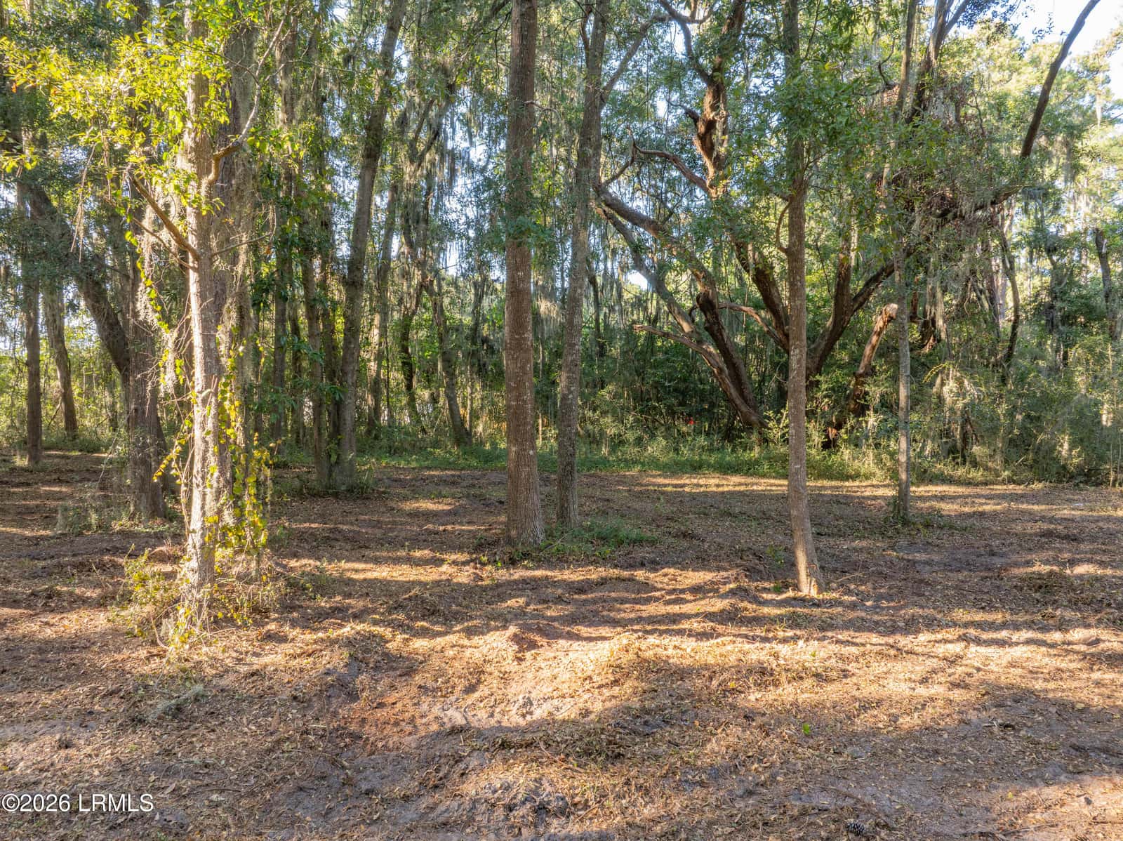 14 Kinte Drive, St. Helena Island, SC 29920 — photo 12 of 18