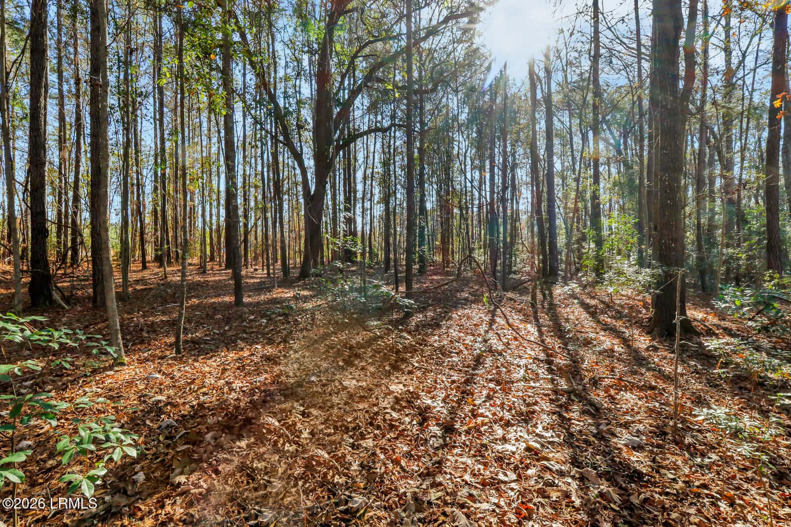 Tbd N Okatie Highway, Okatie, SC 29909 — photo 18 of 42
