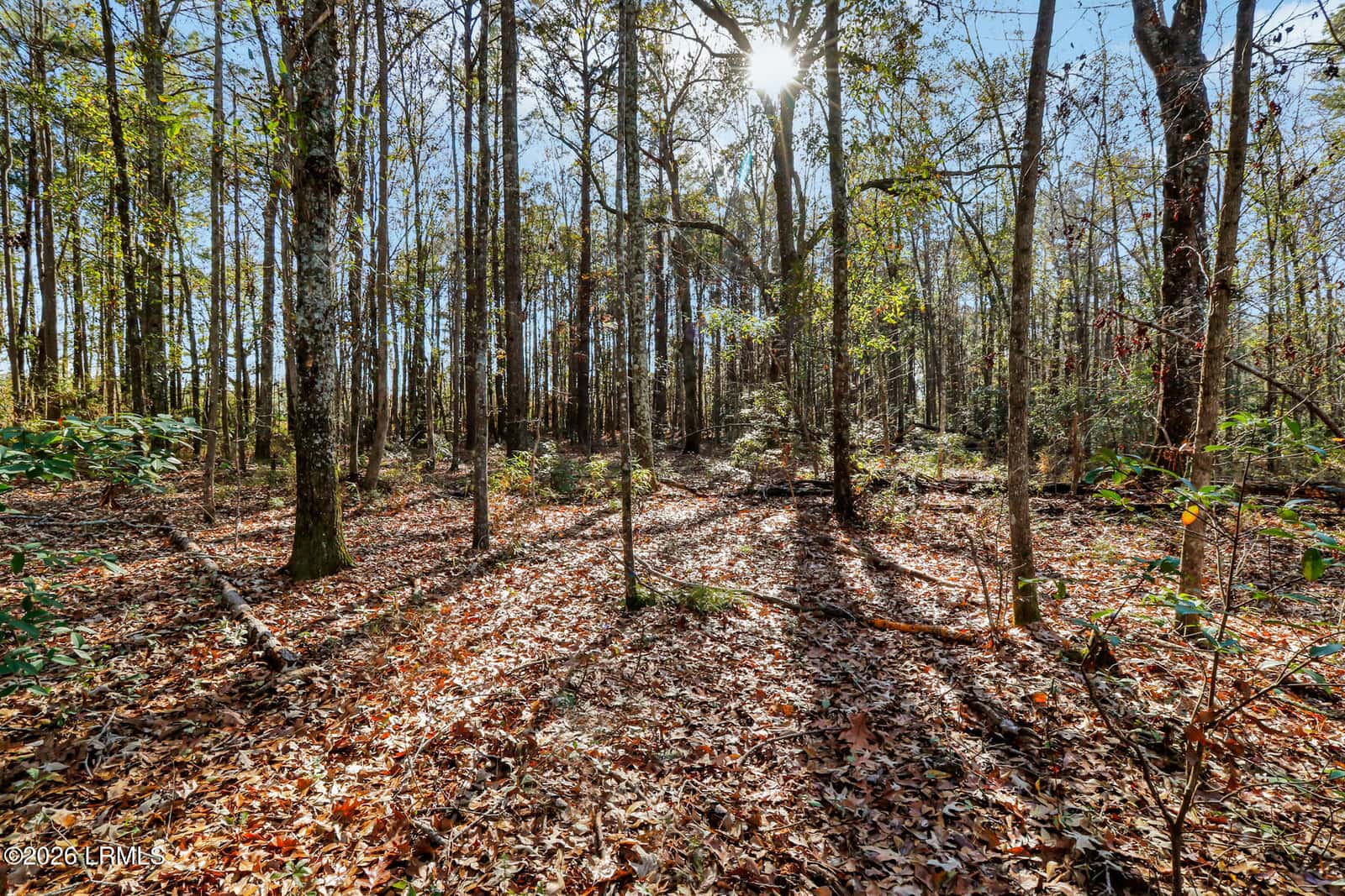 Tbd N Okatie Highway, Okatie, SC 29909 — photo 17 of 42