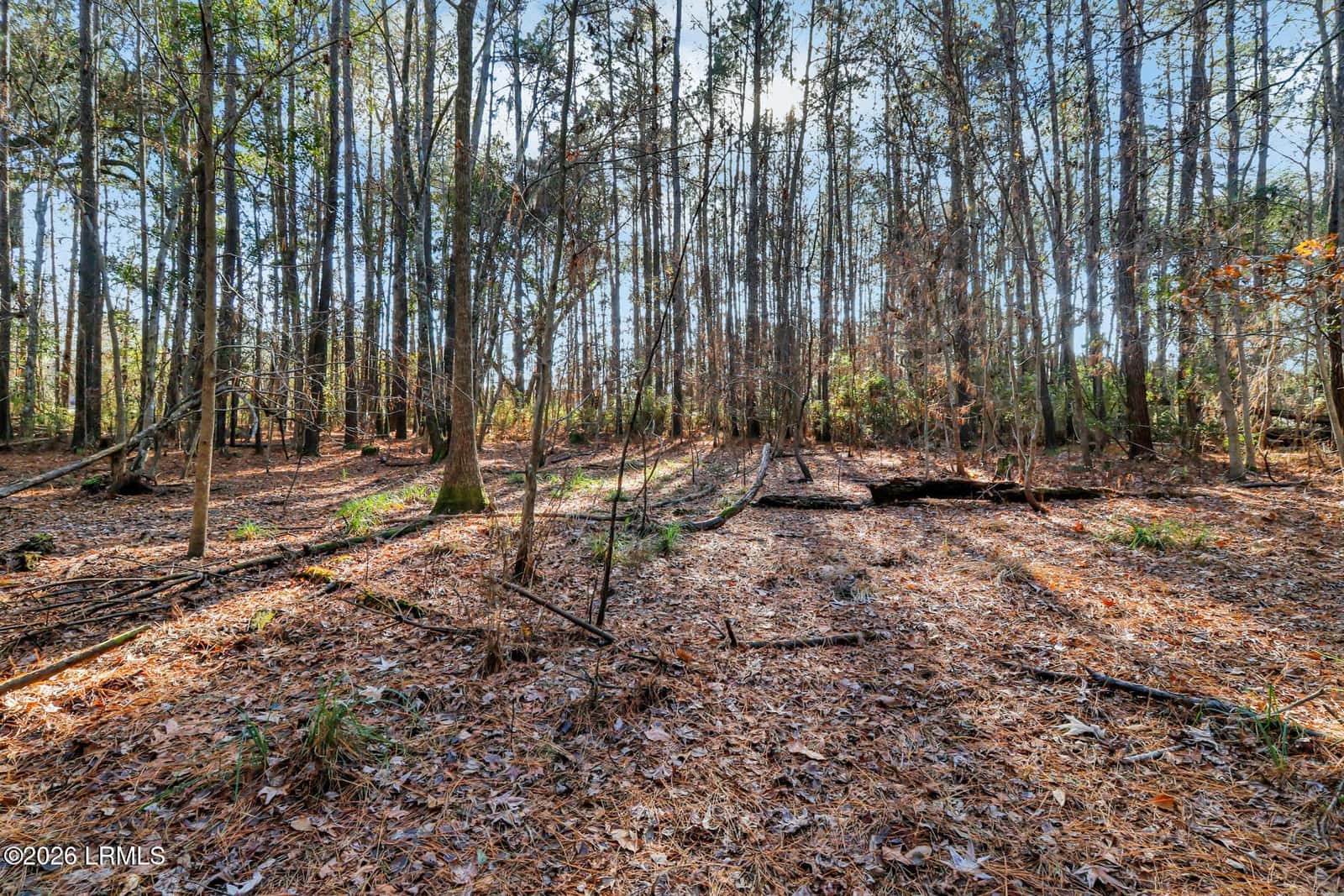 Tbd N Okatie Highway, Okatie, SC 29909 — photo 16 of 42