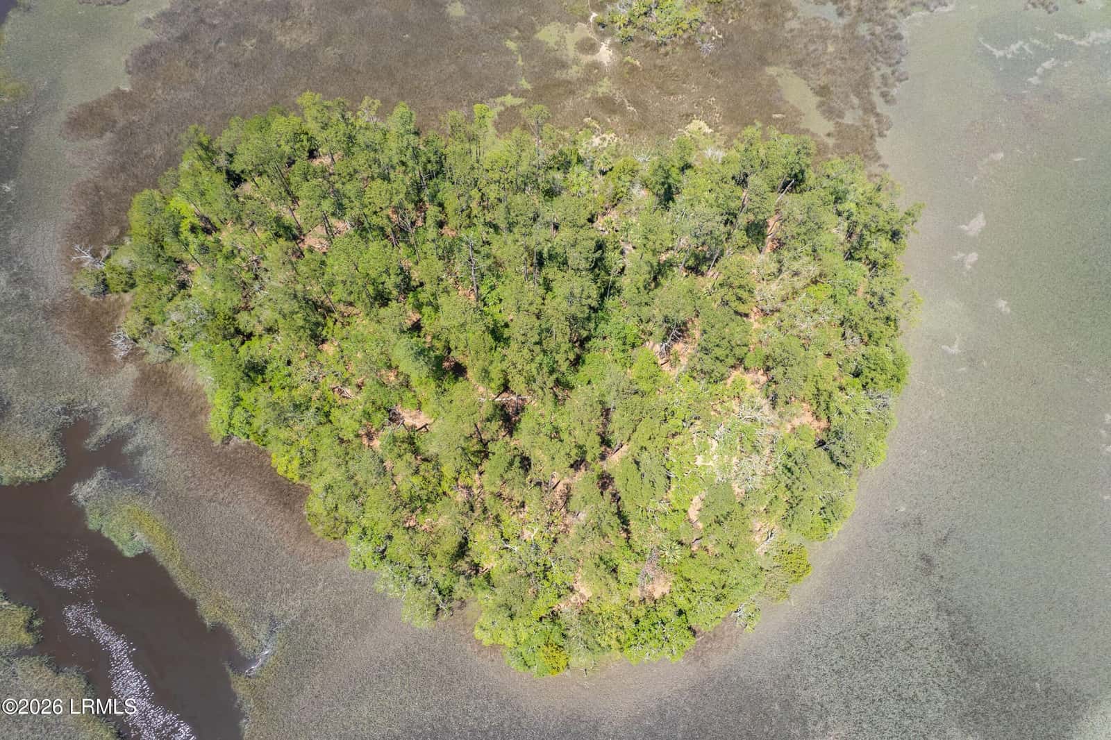 Tbd Wimbee Creek Island, Seabrook, SC 29940 — photo 2 of 19