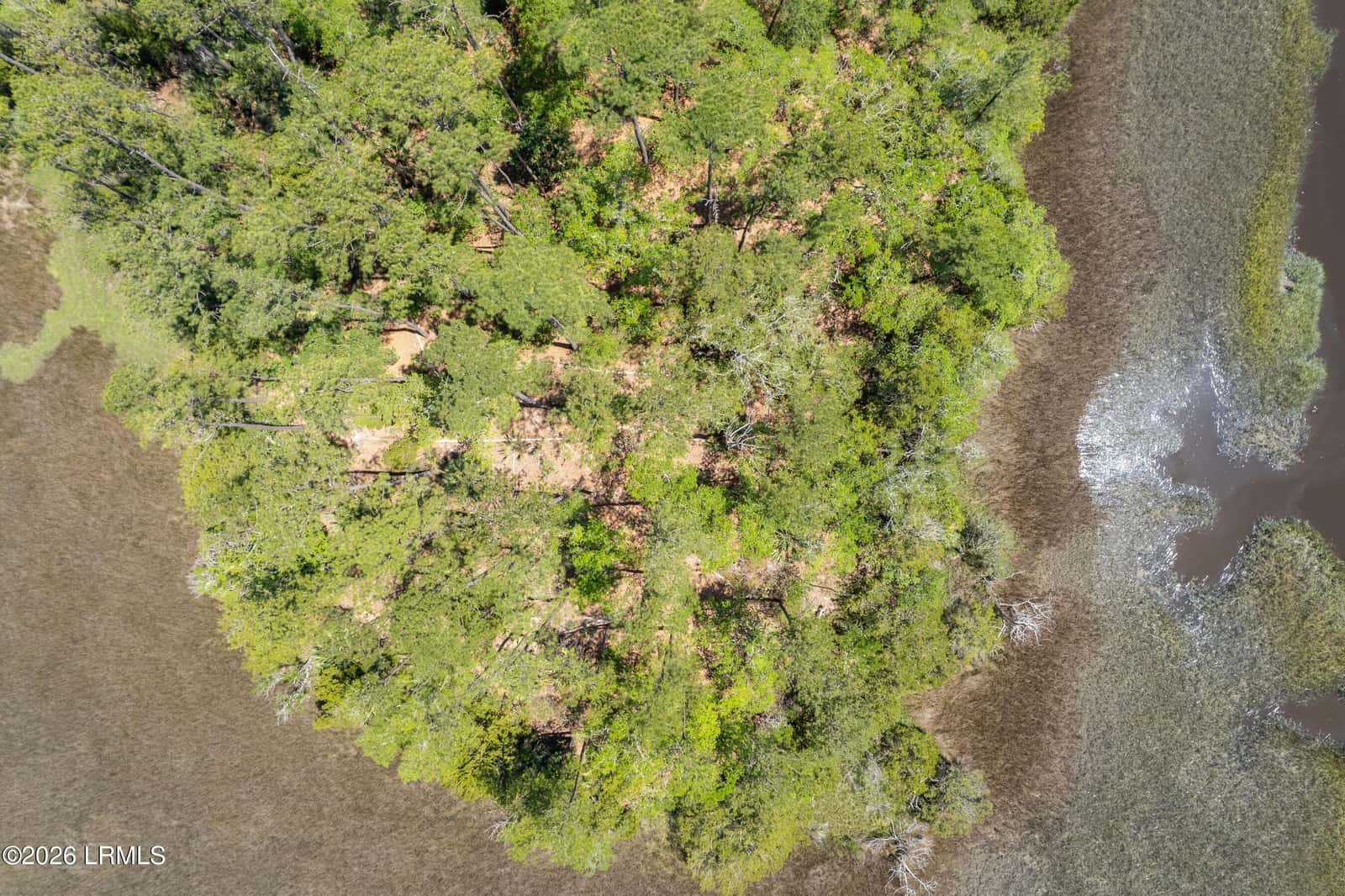 Tbd Wimbee Creek Island, Seabrook, SC 29940 — photo 13 of 19