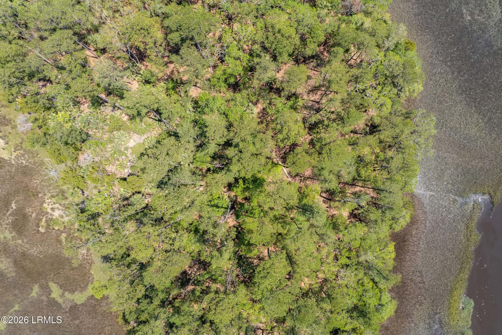Tbd Wimbee Creek Island, Seabrook, SC 29940 — photo 14 of 19