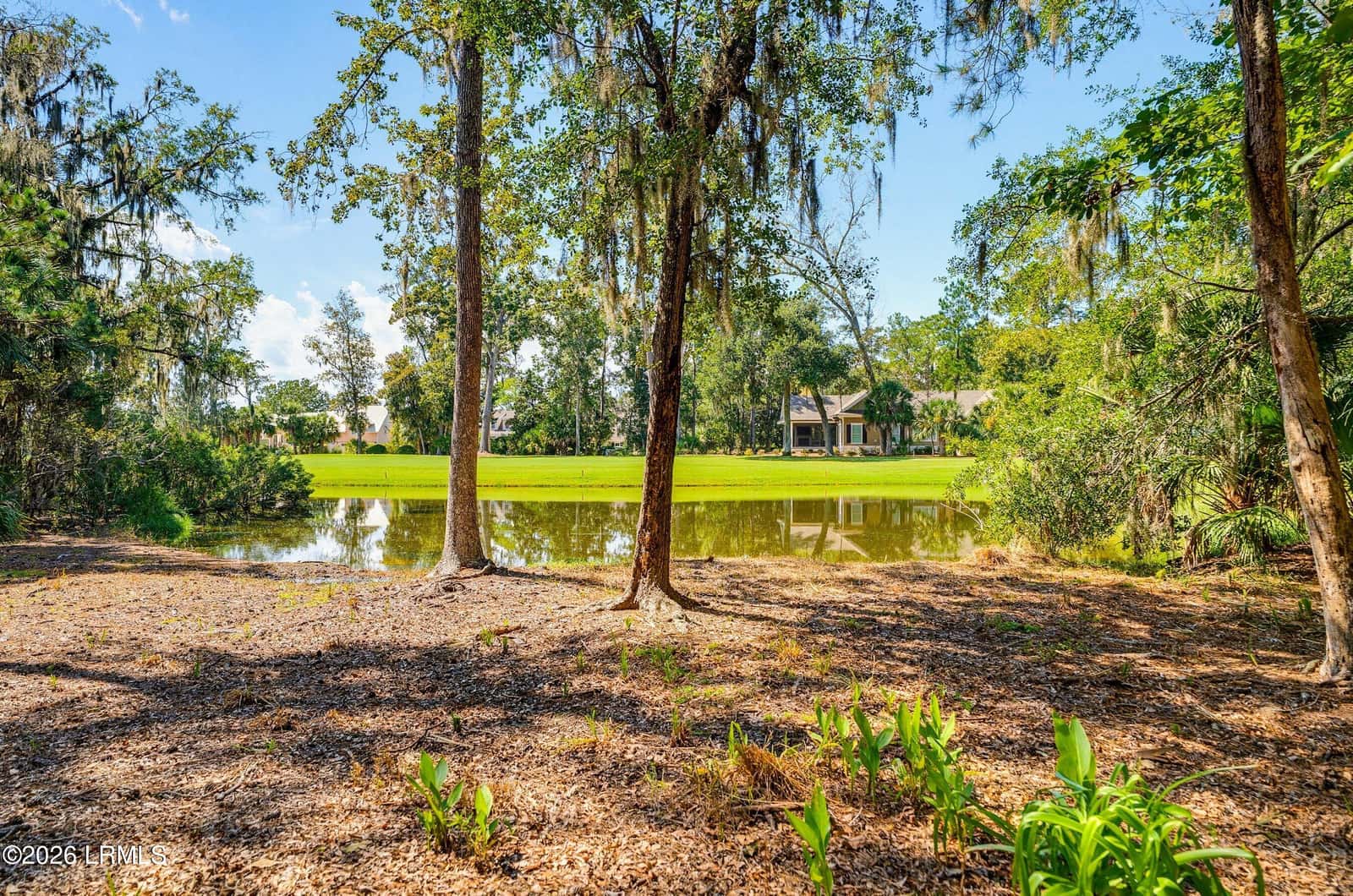 8 Heron Point, Okatie, SC 29909 — photo 19 of 84