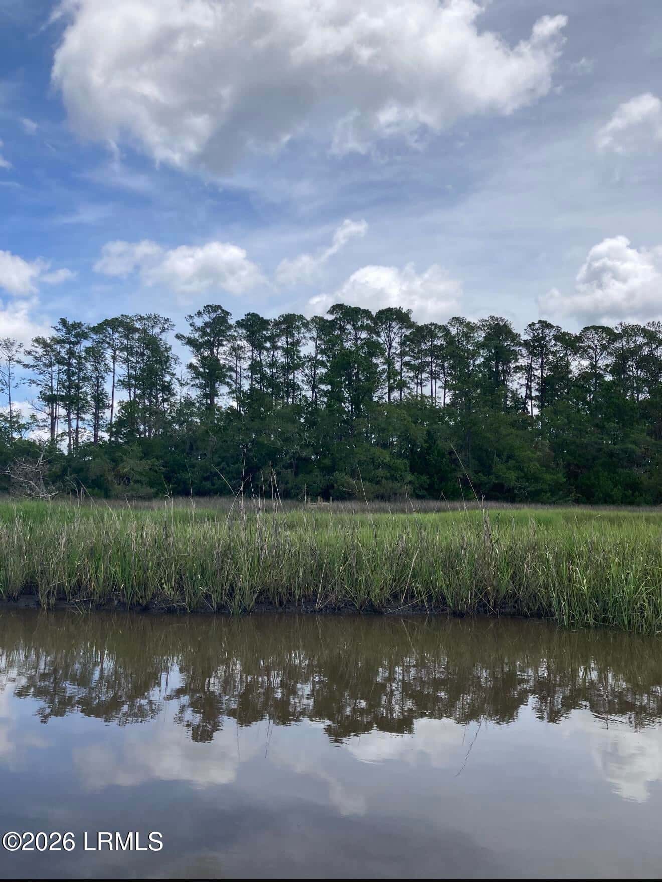 Tbd Wimbee Creek Island, Seabrook, SC 29940 — photo 7 of 19