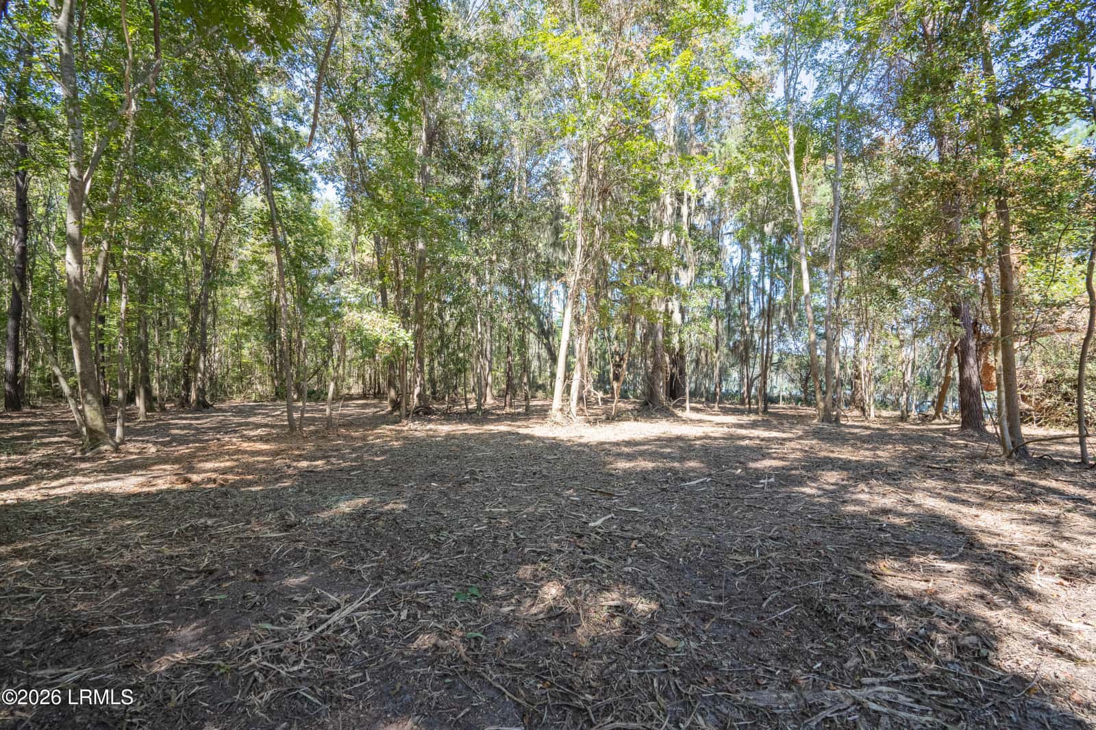 501 Paige Point Road, Seabrook, SC 29940 — photo 15 of 29