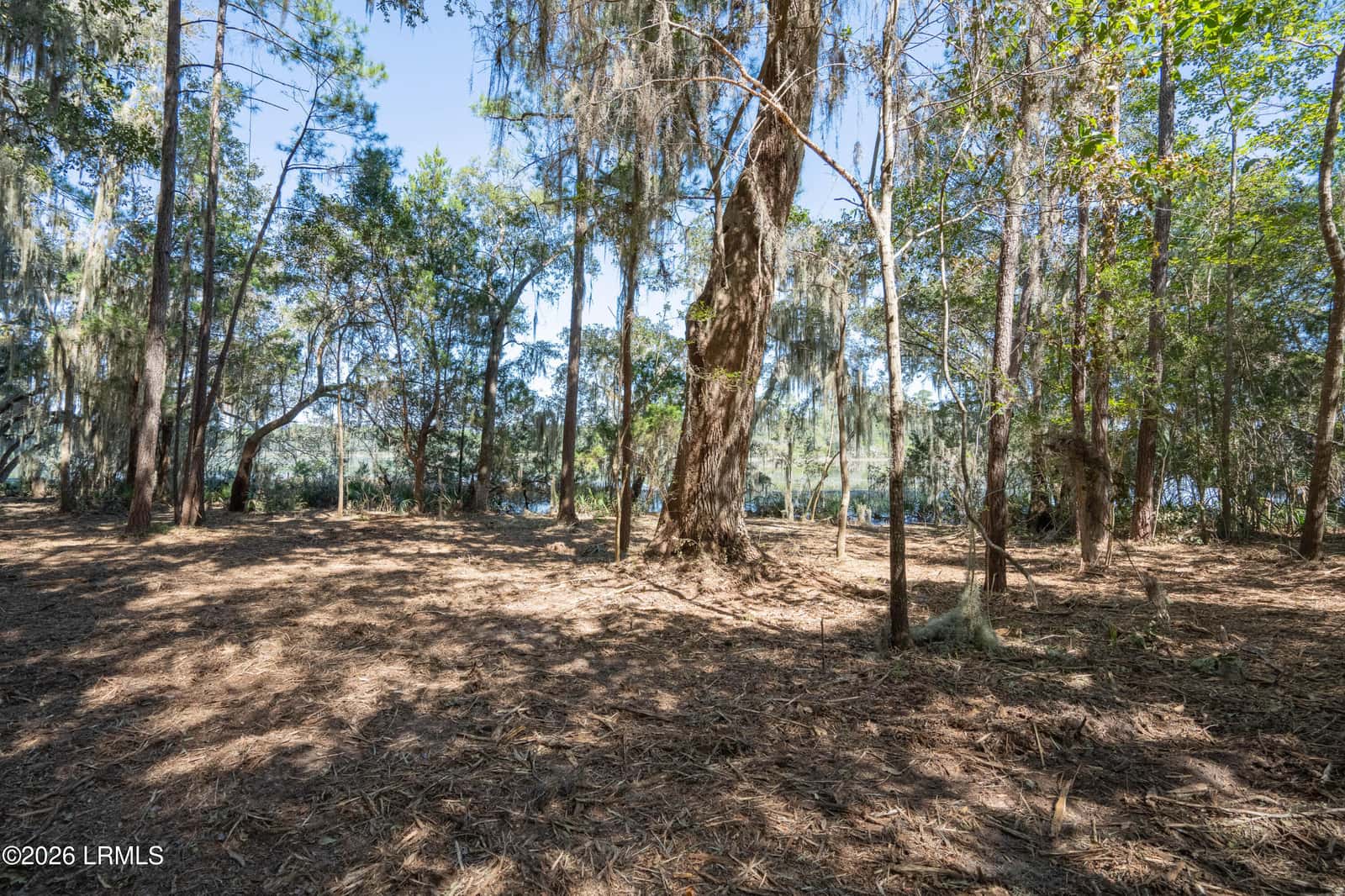 501 Paige Point Road, Seabrook, SC 29940 — photo 10 of 29