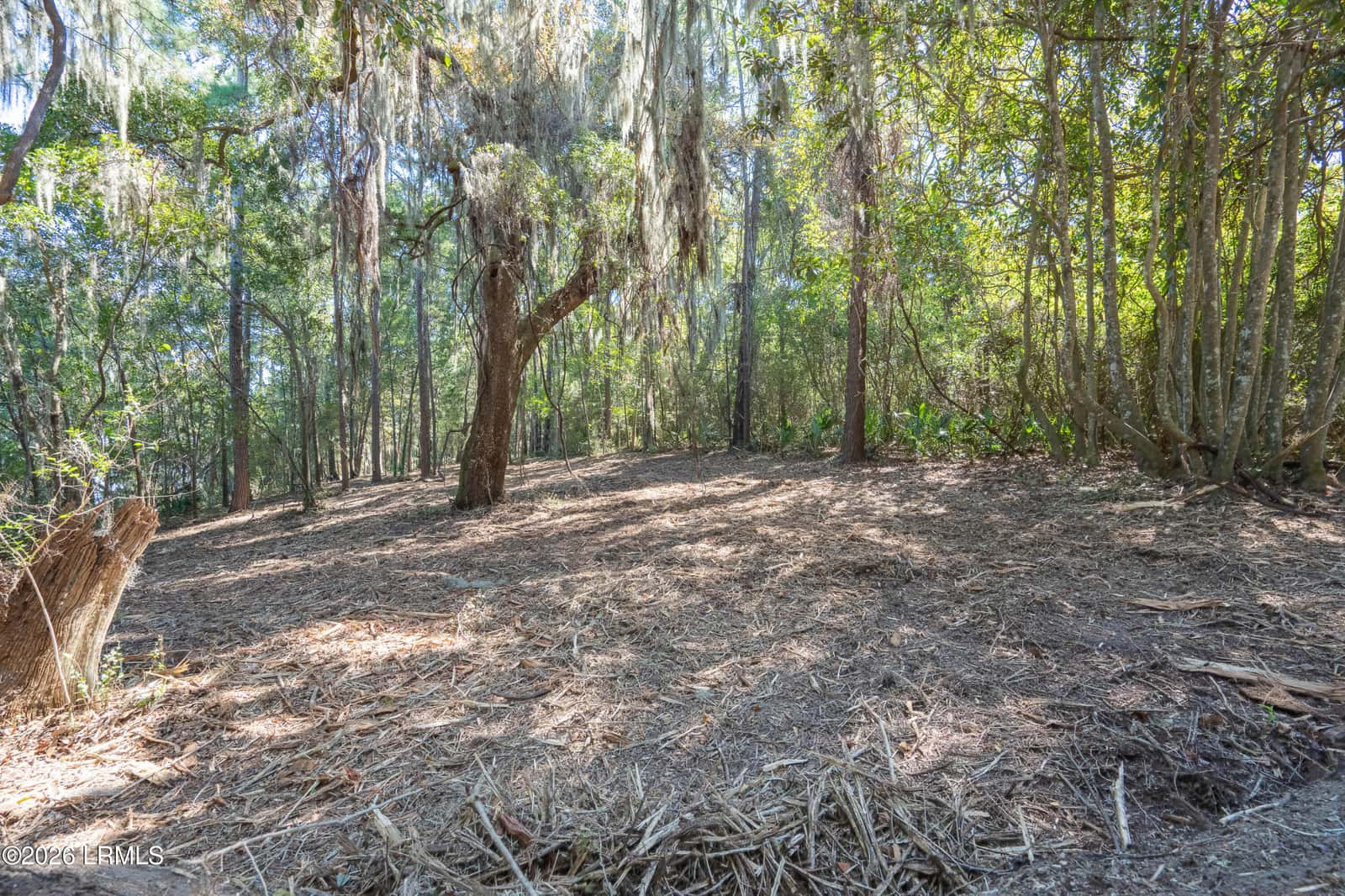 501 Paige Point Road, Seabrook, SC 29940 — photo 16 of 29
