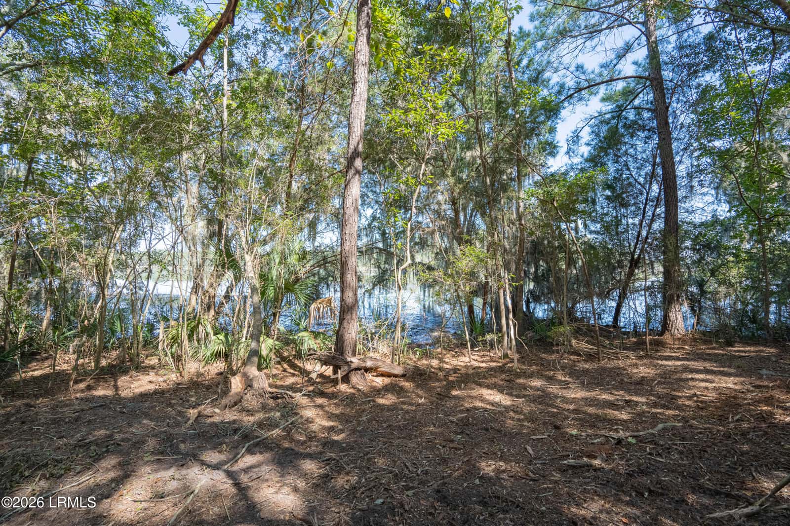 501 Paige Point Road, Seabrook, SC 29940 — photo 11 of 29