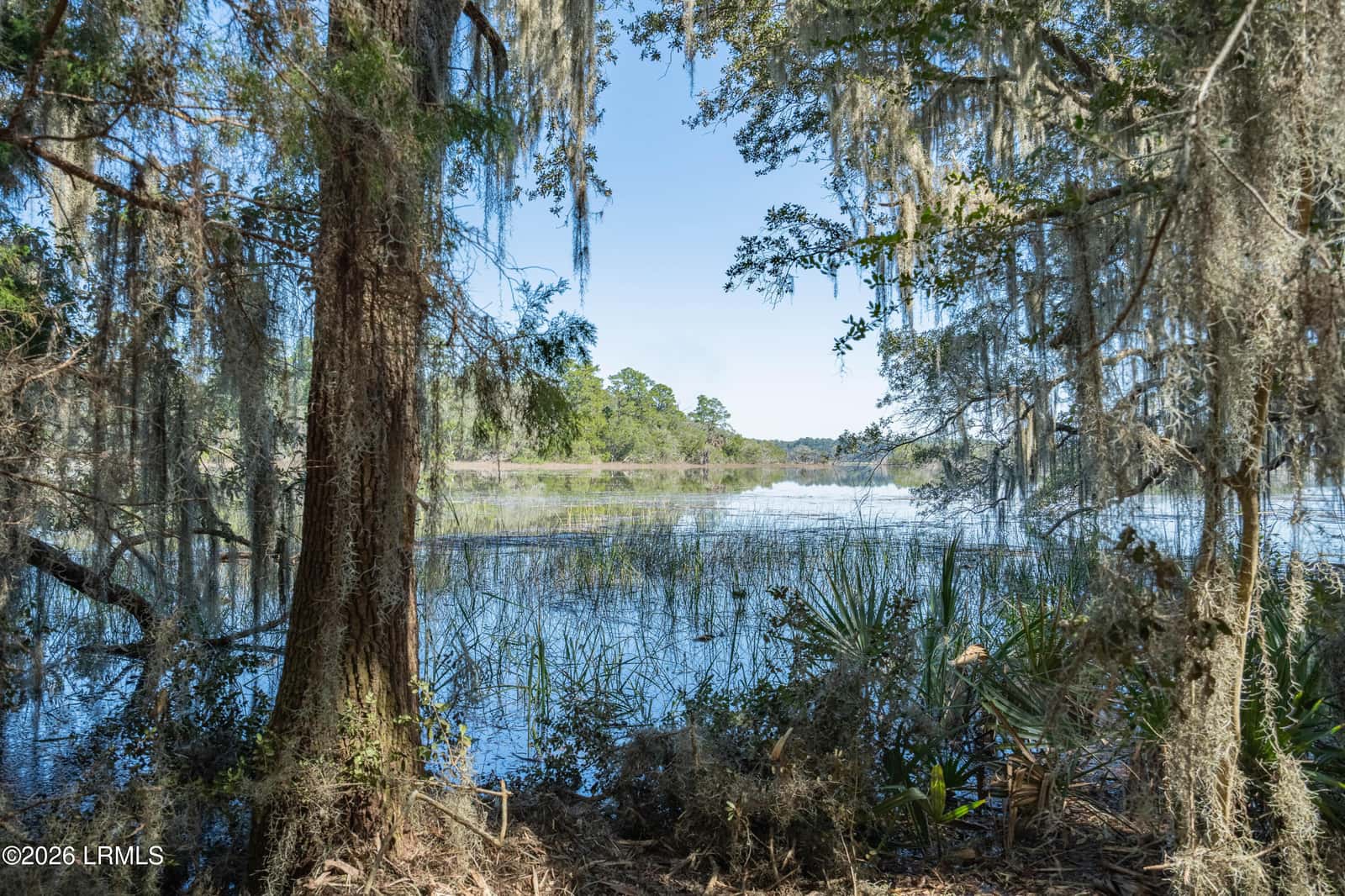 501 Paige Point Road, Seabrook, SC 29940 — photo 4 of 29
