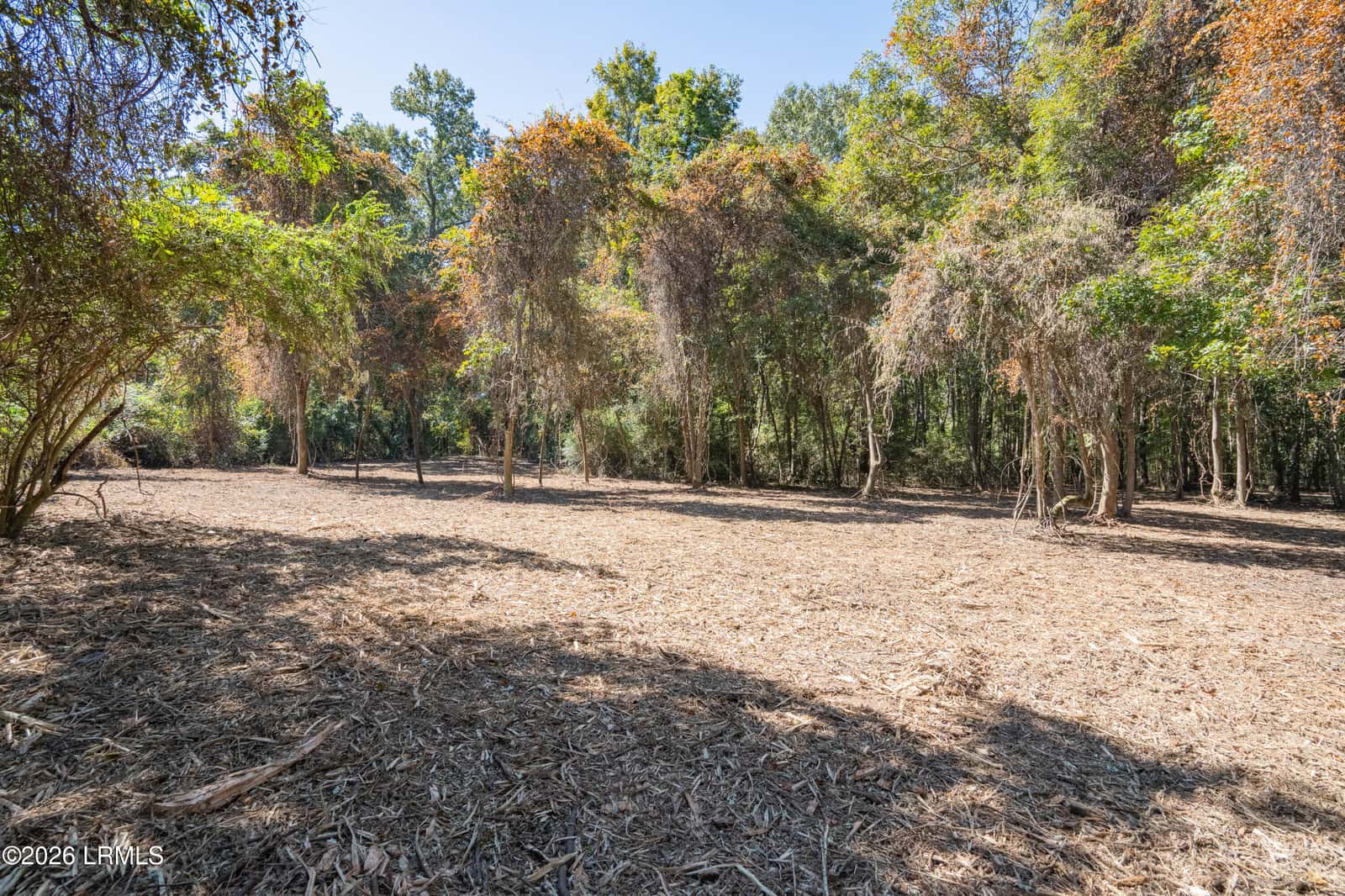 501 Paige Point Road, Seabrook, SC 29940 — photo 14 of 29
