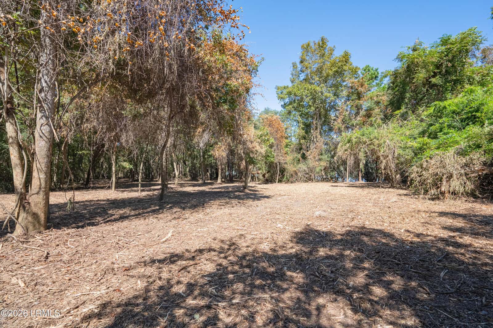 501 Paige Point Road, Seabrook, SC 29940 — photo 13 of 29