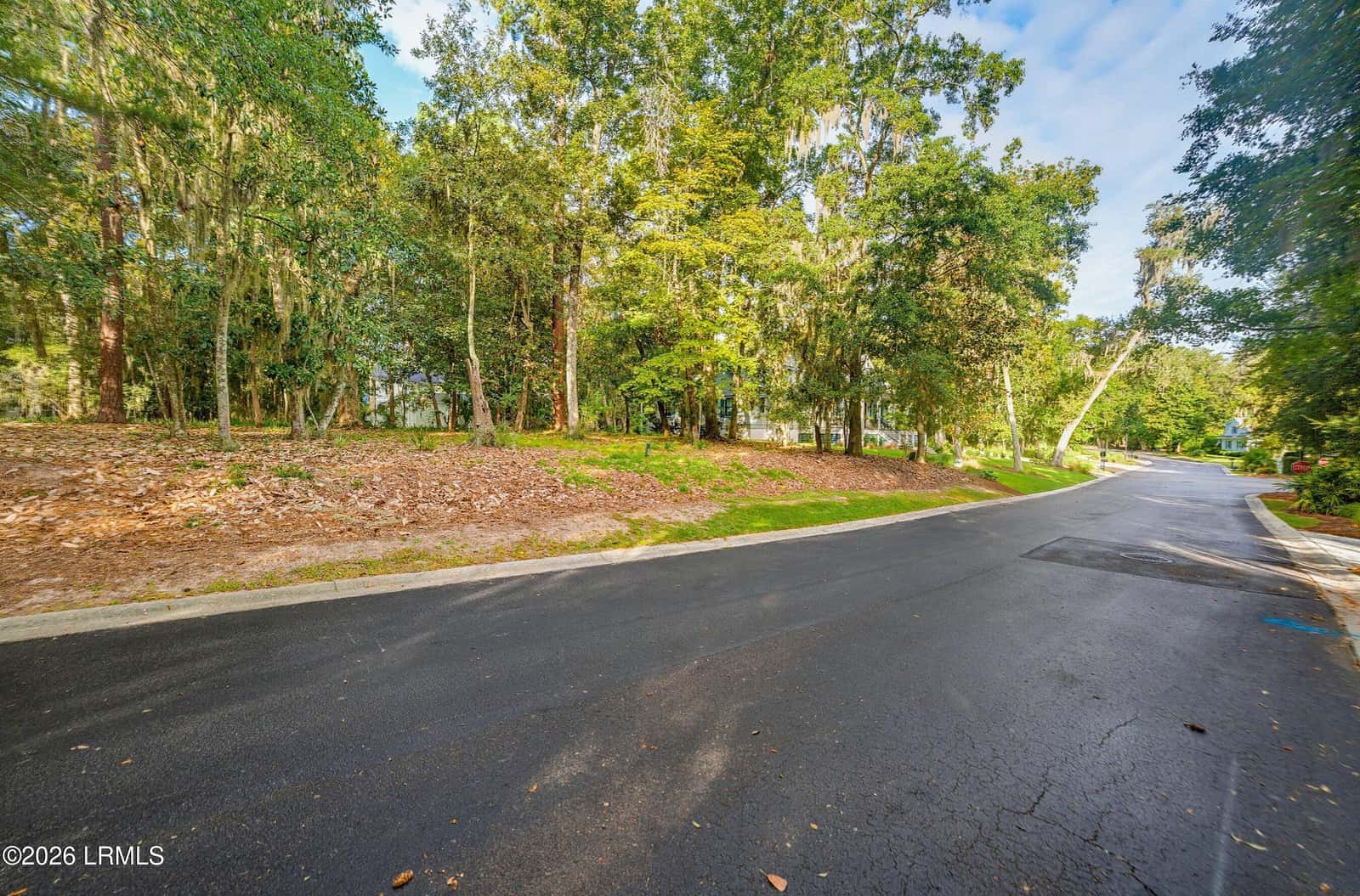 228 De La Gaye Point, Beaufort, SC 29902 — photo 3 of 31