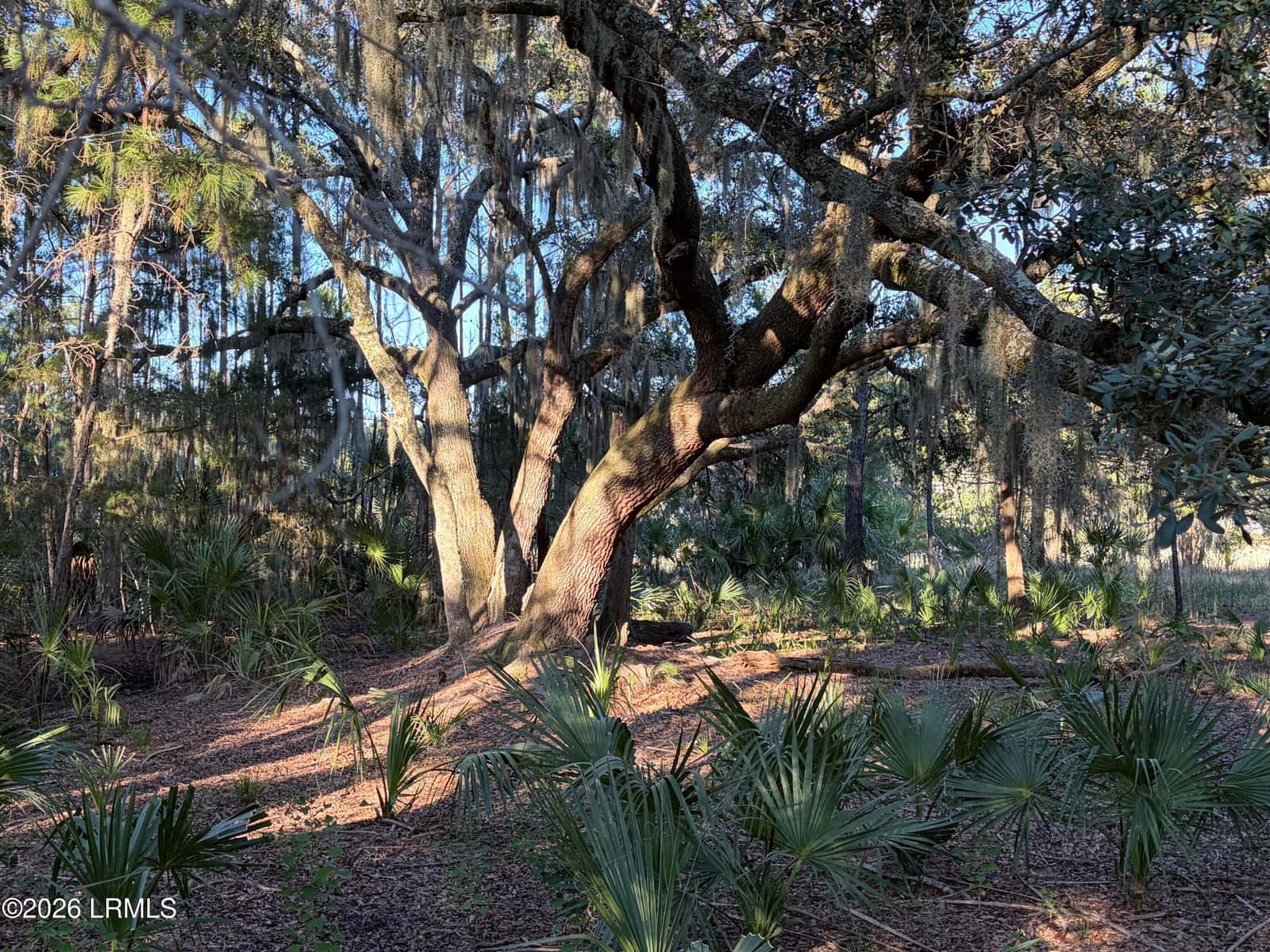 4 Governor Blake Drive, Beaufort, SC 29907 — photo 5 of 12