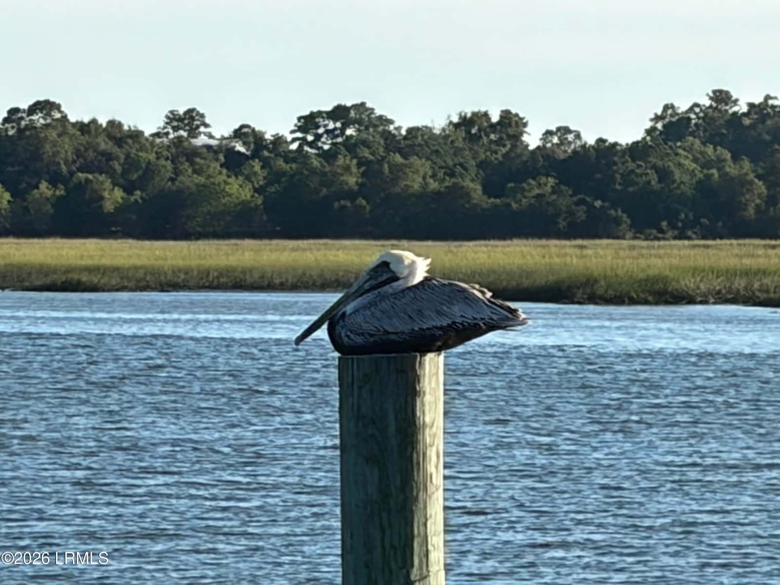 4 Governor Blake Drive, Beaufort, SC 29907 — photo 12 of 12
